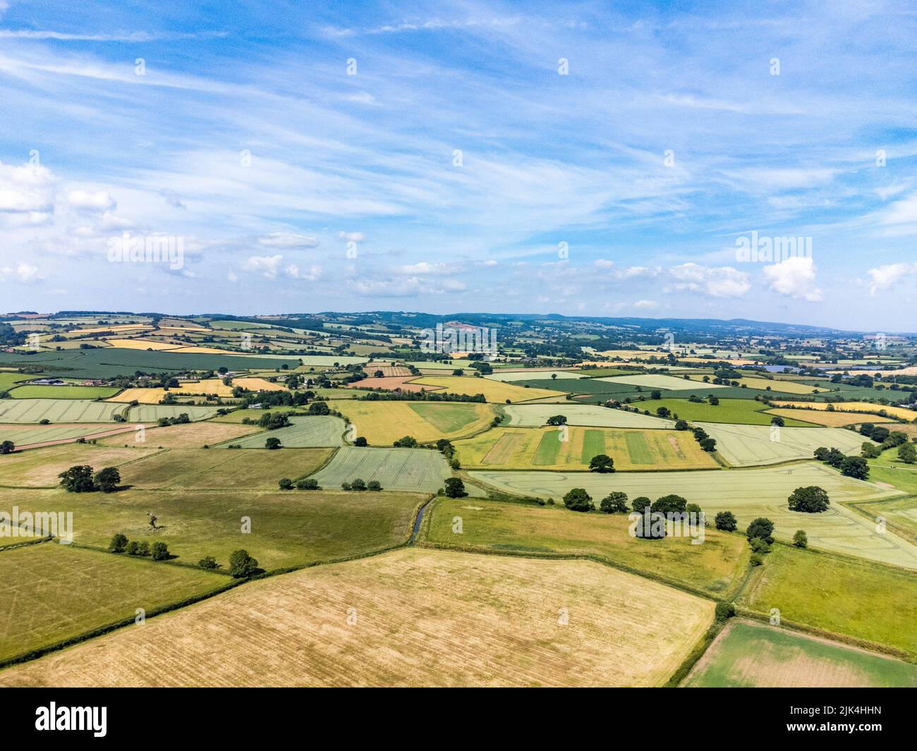 Felder für so weit das Auge sehen kann, Bridgwater, England Stockfoto