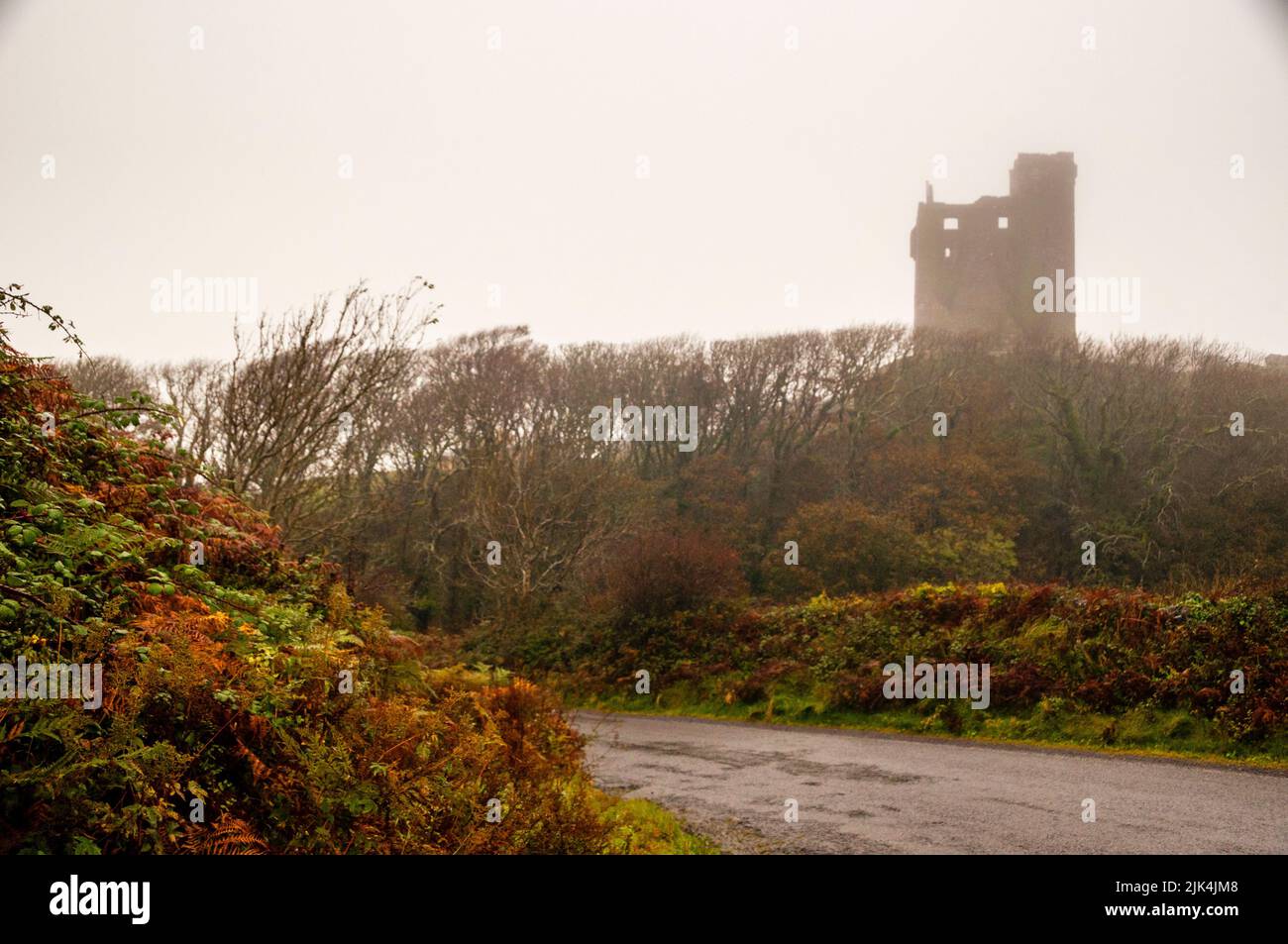 Gleninagh Castle L-förmiges Turmhaus, The Burren, Irland. Stockfoto