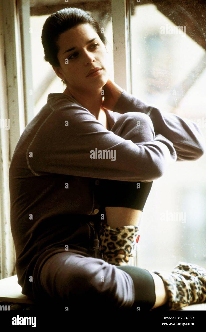 NEVE CAMPBELL, DER FIRMA, 2003 Stockfoto