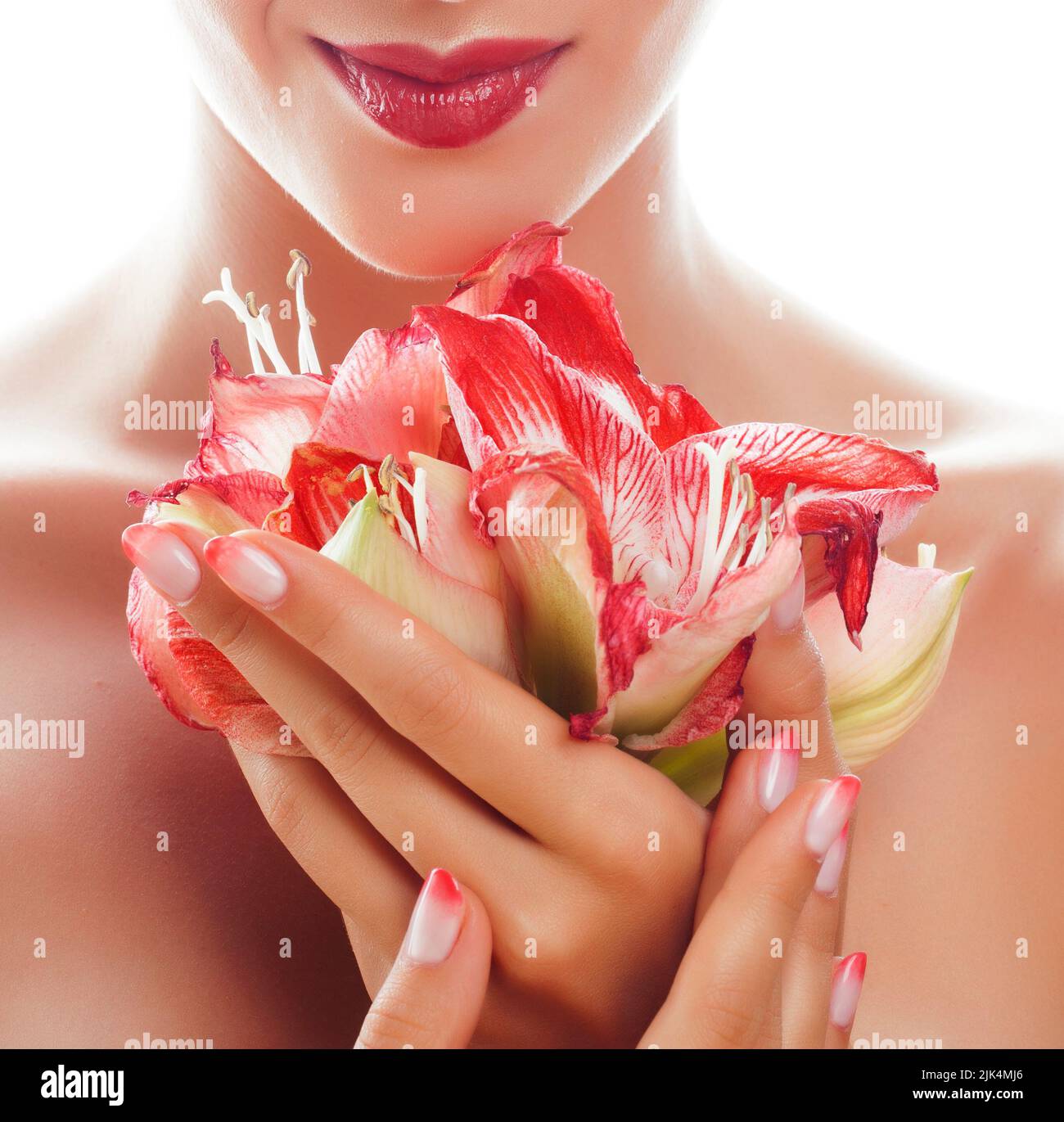Schönheit zarte Hände mit rosa Ombre Design Maniküre halten rote Blume Amaryllis Nahaufnahme isoliert warm Makro Stockfoto