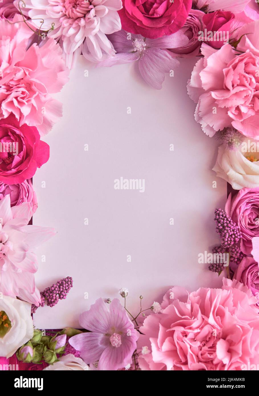 Rosa Blumen Rahmen weißen mockup Hintergrund. Flach liegend, Draufsicht, Kopierbereich Stockfoto