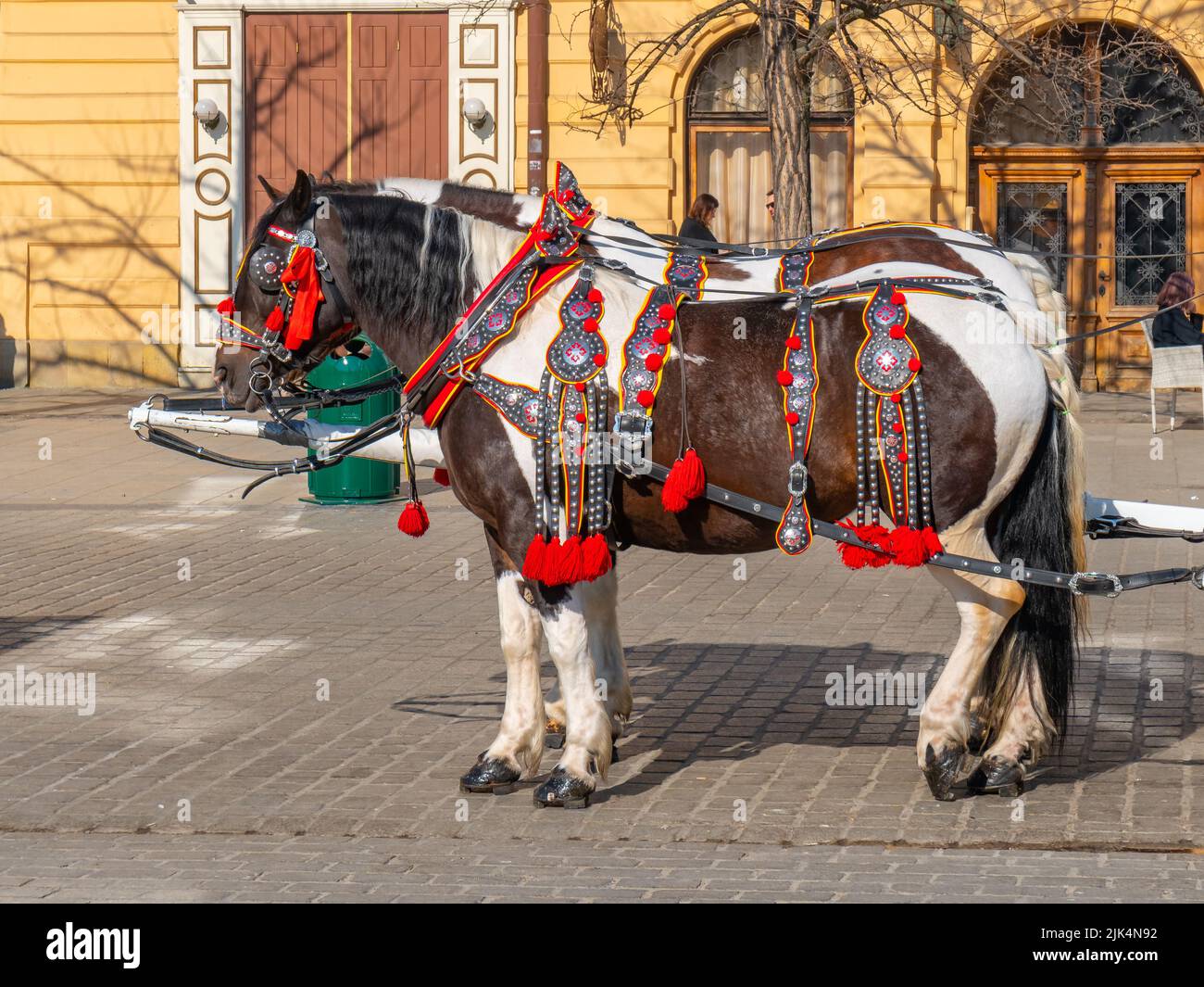 Krakau, Polen - 14. März 2022: Pferdekutschen auf dem Hauptplatz in Krakau.  Reisen Stockfotografie - Alamy