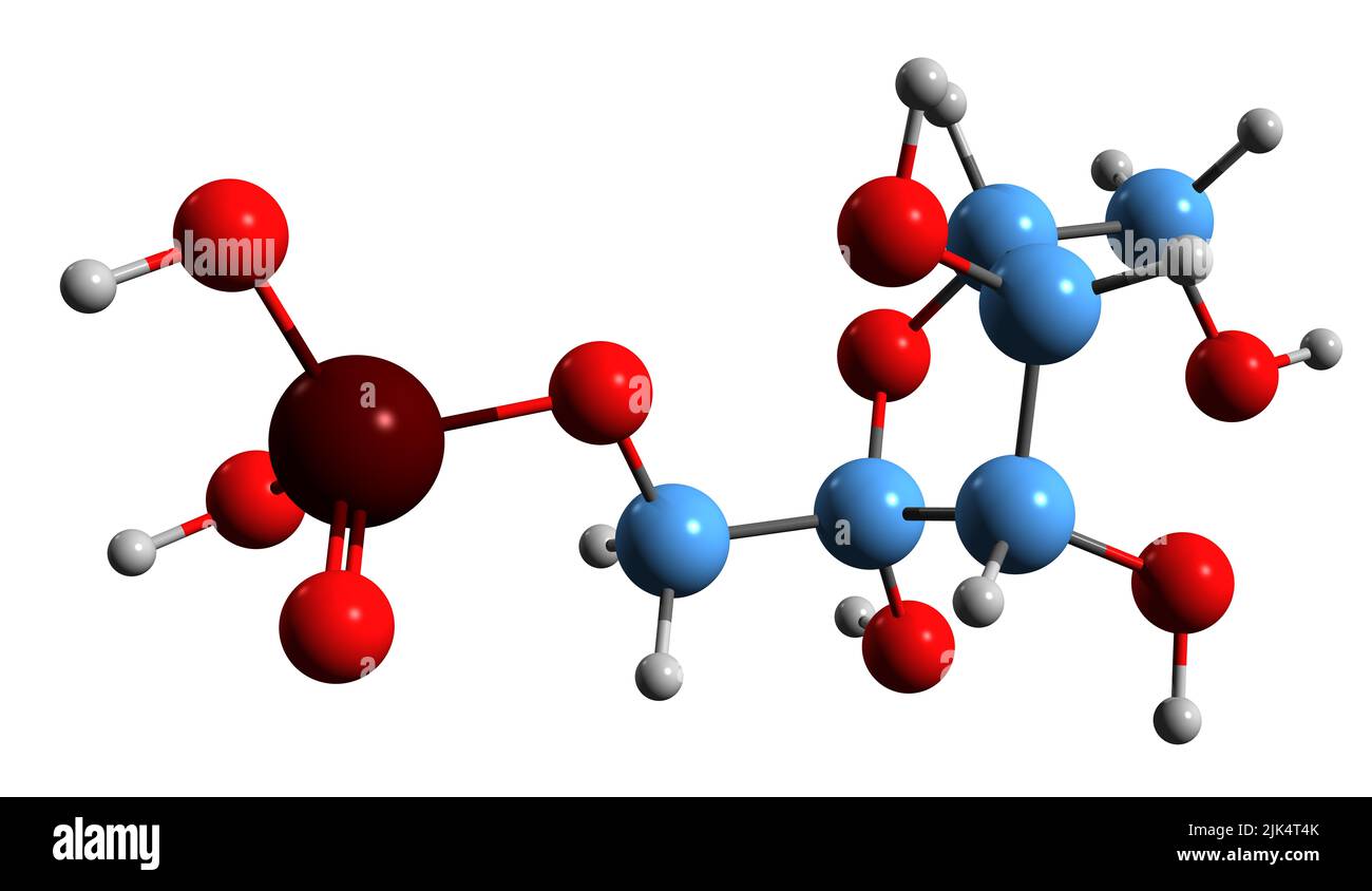 3D Abbildung der Skelettformel von Fructose 1-Phosphat - molekularchemische Struktur des Fructose-Derivats auf weißem Hintergrund isoliert Stockfoto