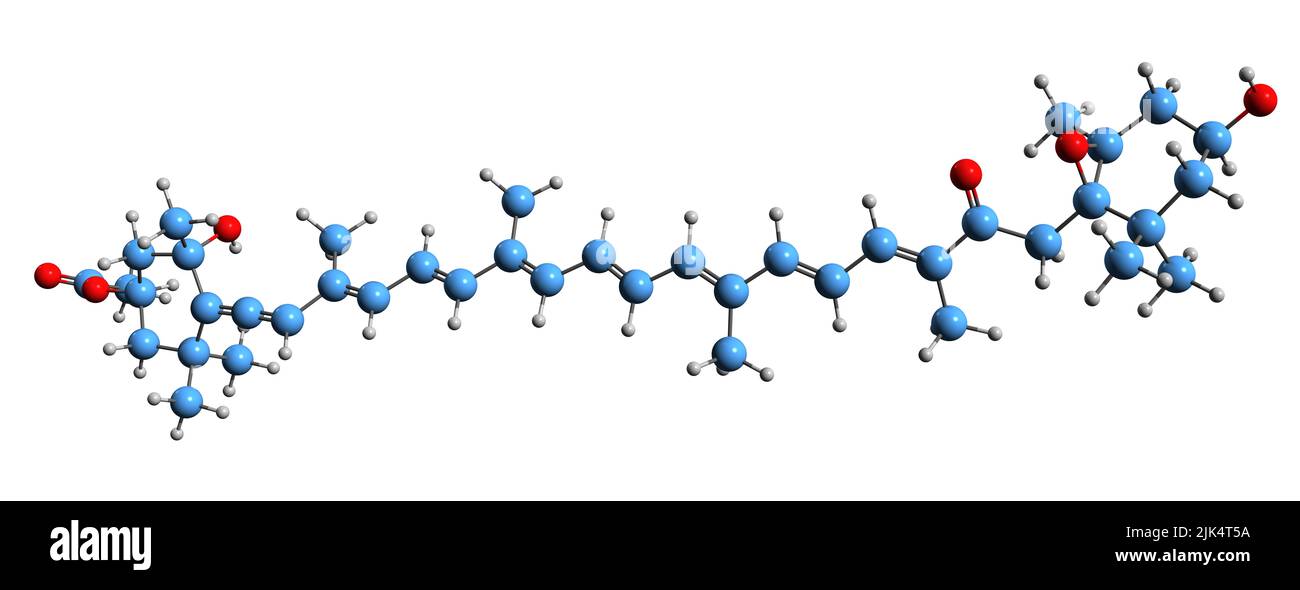 3D Bild der Skelettformel von Fucoxanthin - molekulare chemische Struktur des Pigments Xanthophyll auf weißem Hintergrund isoliert Stockfoto