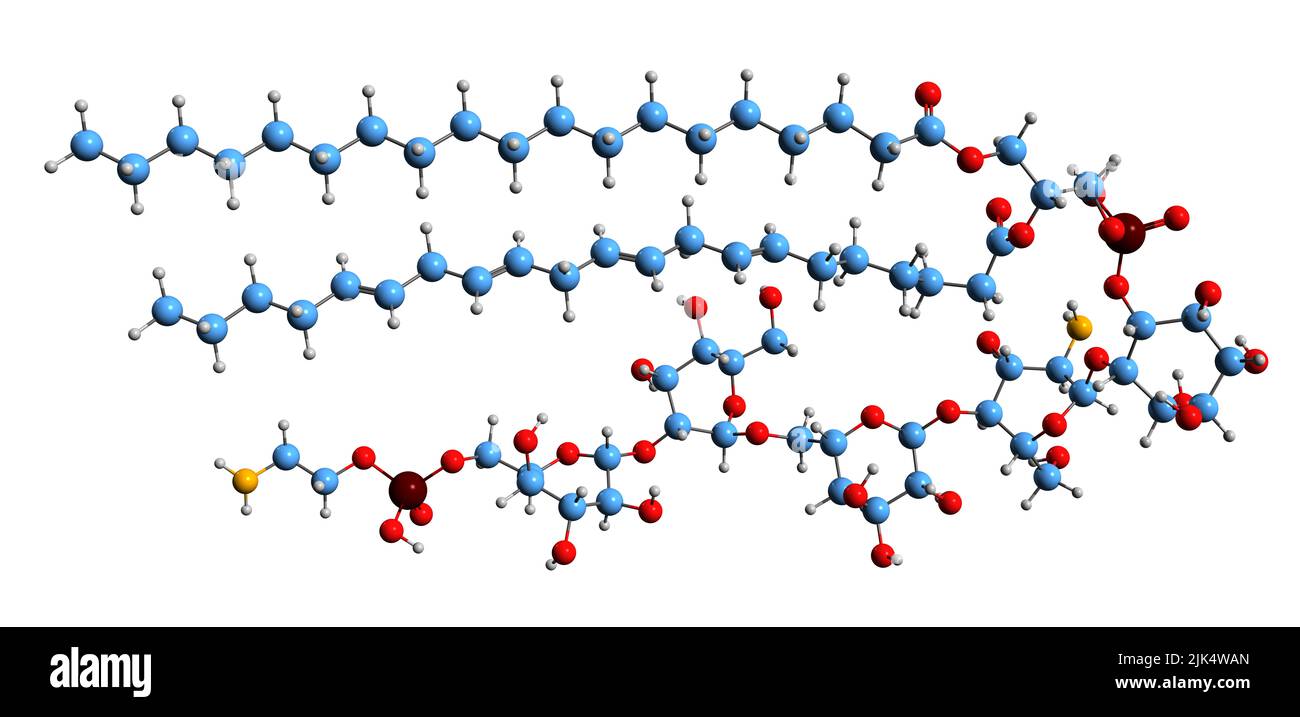 3D Abbildung der Skelettformel von Glycosylphosphatidyllinositol - molekularchemische Struktur von GPI auf weißem Hintergrund isoliert Stockfoto