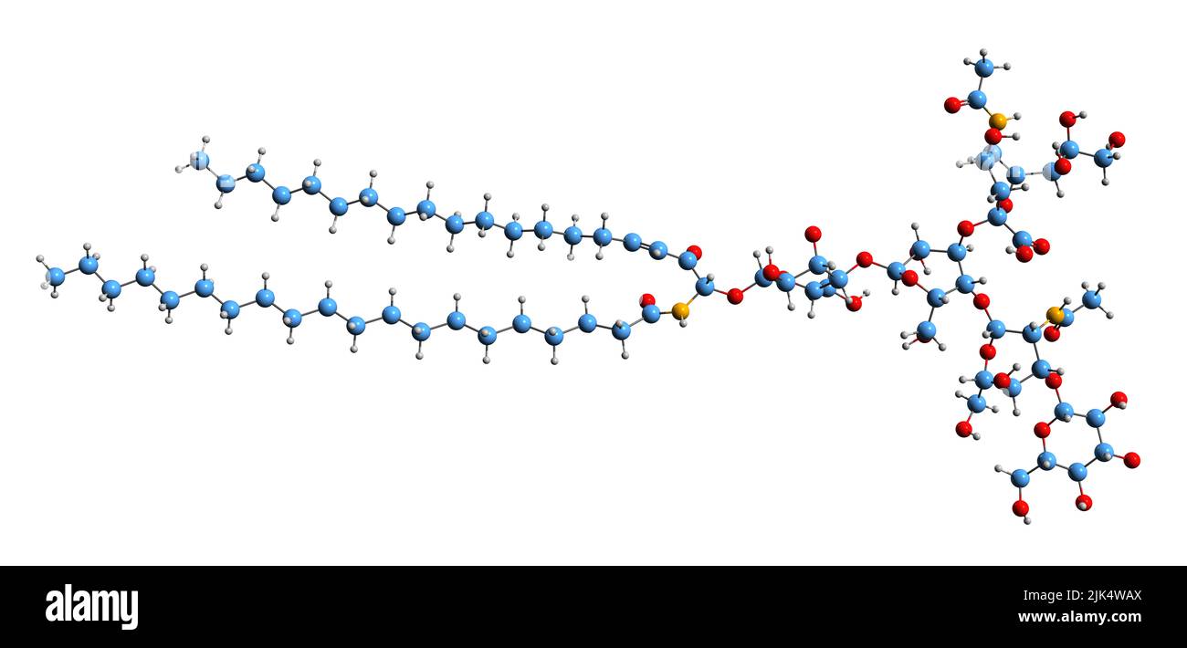 3D Bild der Skelettformel monosialotetrahexosylgangliosid - molekularchemische Struktur von GM1 isoliert auf weißem Hintergrund Stockfoto