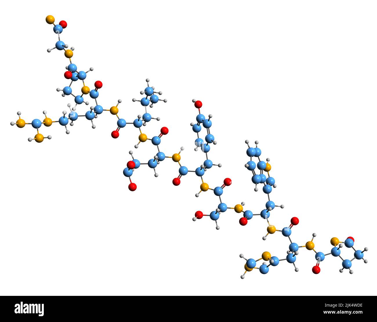 3D Bild der Gonadotropin-freisetzenden Hormonskelettformel - molekularchemische Struktur von GnRH isoliert auf weißem Hintergrund Stockfoto