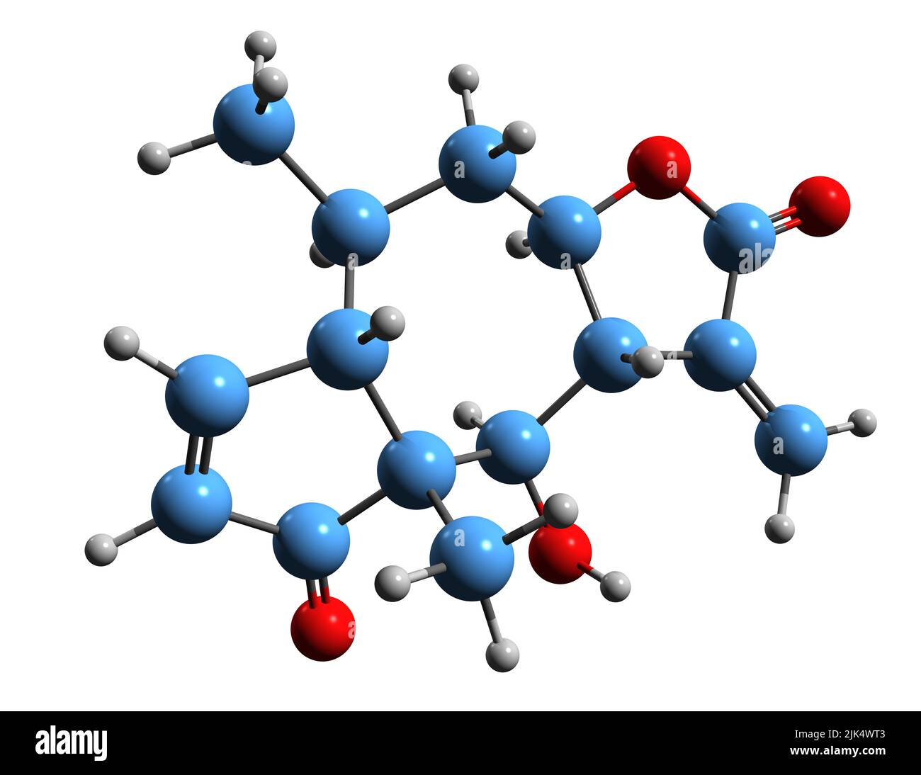 3D Bild der Helenalin-Skelettformel - molekularchemische Struktur von toxischem Sesquiterpenlacton auf weißem Hintergrund isoliert Stockfoto