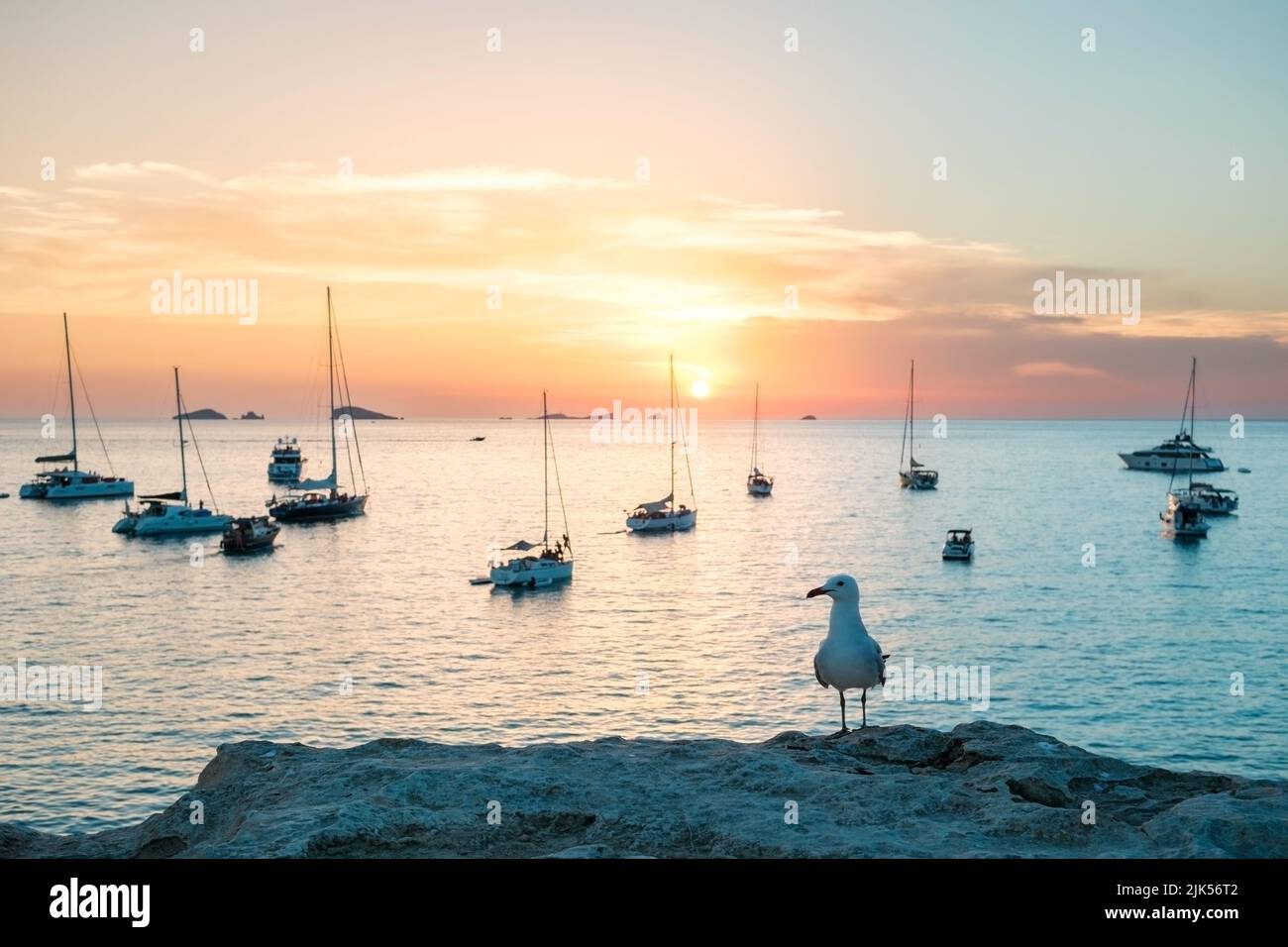 Die Möwe, die auf einer Klippe thront, beobachtet die in der Bucht verankerten Boote bei Sonnenuntergang. Stockfoto