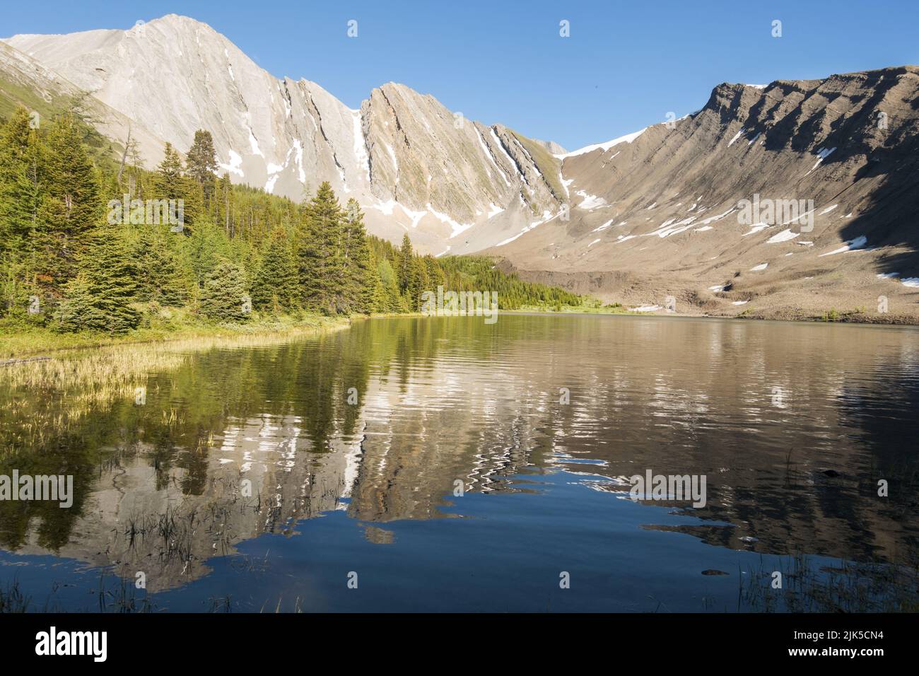 Der Berggipfel spiegelt sich in der ruhigen Landschaft des Regenbogensees mit blauem Wasser wider. Sommerwandern im Eastern Range des Banff National Park, Canadian Rockies Stockfoto