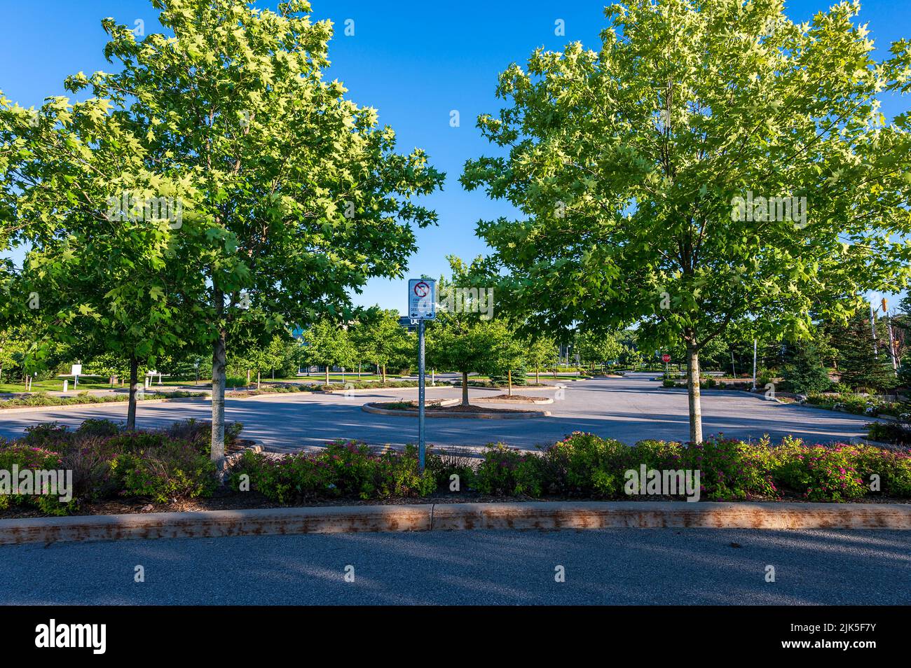 Umweltfreundlicher, von Bäumen gesäumter Parkplatz Stockfoto