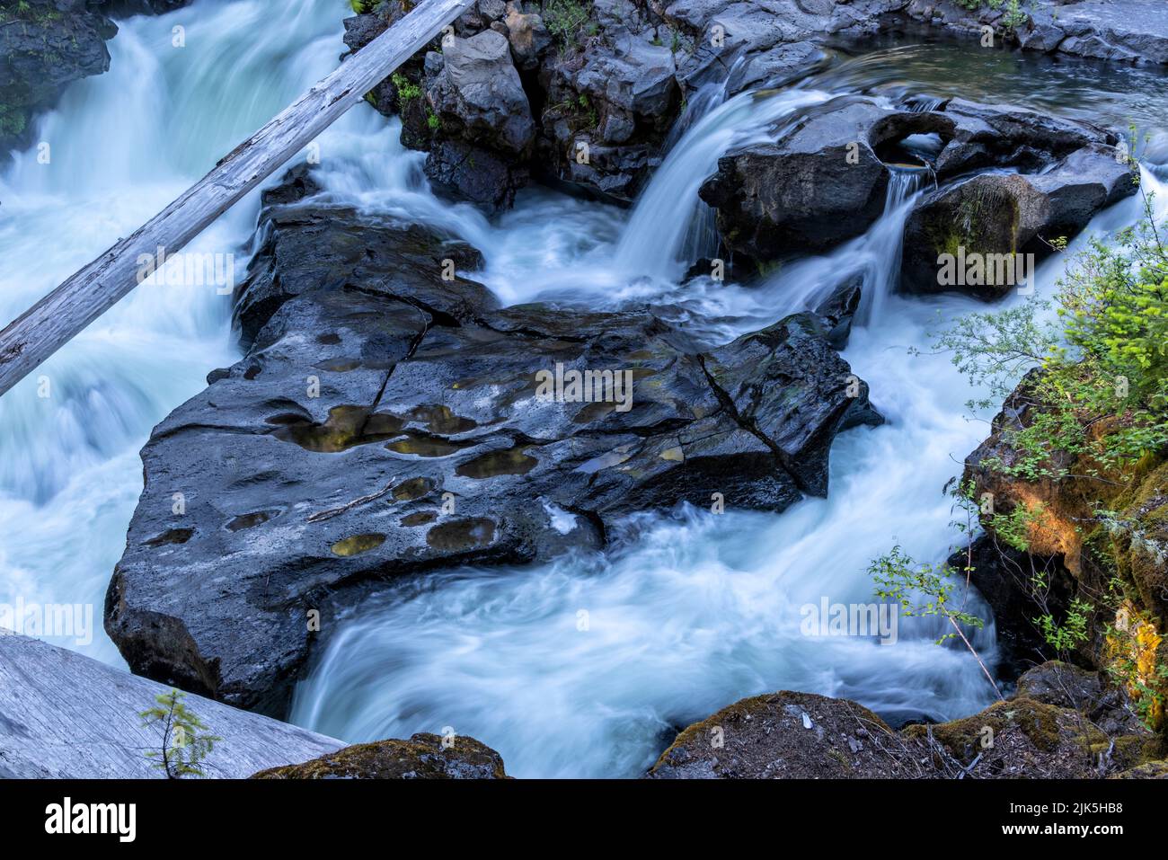 Der Rogue River wirbelt durch eine Basalt-Lava-Schlucht in der Nähe von Prospect, Oregon. Stockfoto