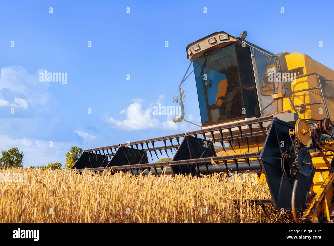 Kombinieren Sie Harvester Schneiden reifen Weizen auf dem Feld Stockfoto