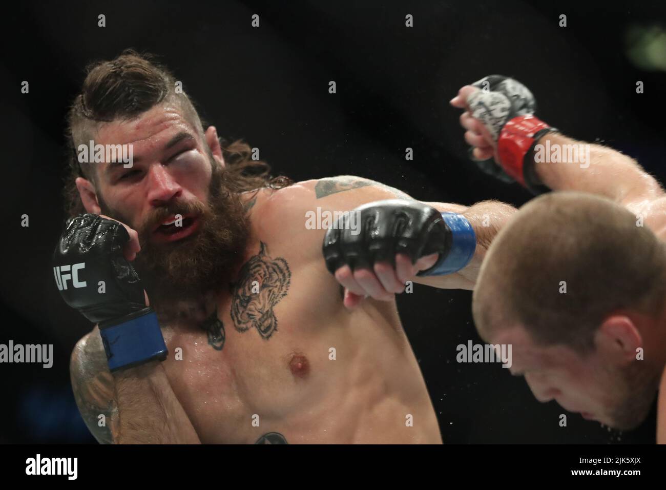 DALLAS, TX - JULI 30: (R-L) Alex Morono schlägt Matthew Semelsberger bei ihrem Weltweight-Kampf während der UFC 277-Veranstaltung im American Airlines Center am 30. Juli 2022 in Dallas, Texas, USA. (Foto von Alejandro Salazar/PxImages) Credit: Px Images/Alamy Live News Stockfoto