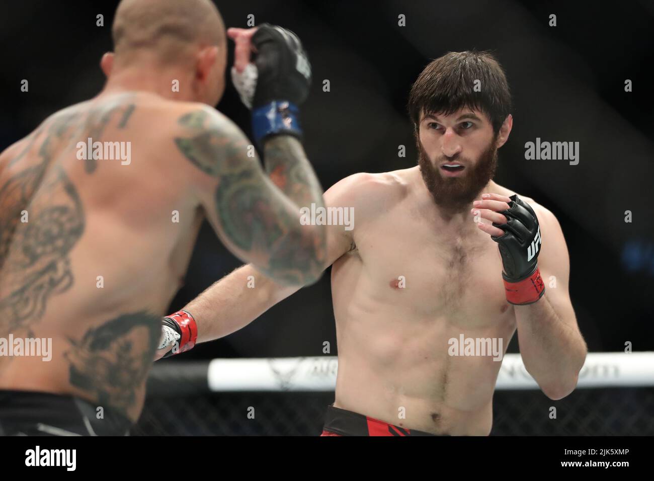 DALLAS, TX - 30. JULI: (R-L) Magomed Ankalaev kämpft gegen Anthony Smith in ihrem Kampf gegen Schwergewicht während der UFC 277 Veranstaltung im American Airlines Center am 30. Juli 2022 in Dallas, Texas, USA. (Foto von Alejandro Salazar/PxImages) Credit: Px Images/Alamy Live News Stockfoto