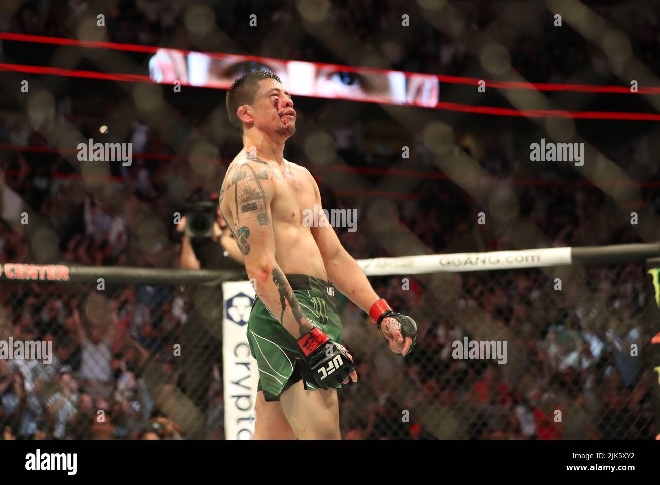 DALLAS, TX - 30. JULI: Brandon Moreno feiert seinen Sieg über Kai Kara-France in ihrem Flyweight-Kampf während des UFC 277-Events im American Airlines Center am 30. Juli 2022 in Dallas, Texas, USA. (Foto von Alejandro Salazar/PxImages) Credit: Px Images/Alamy Live News Stockfoto