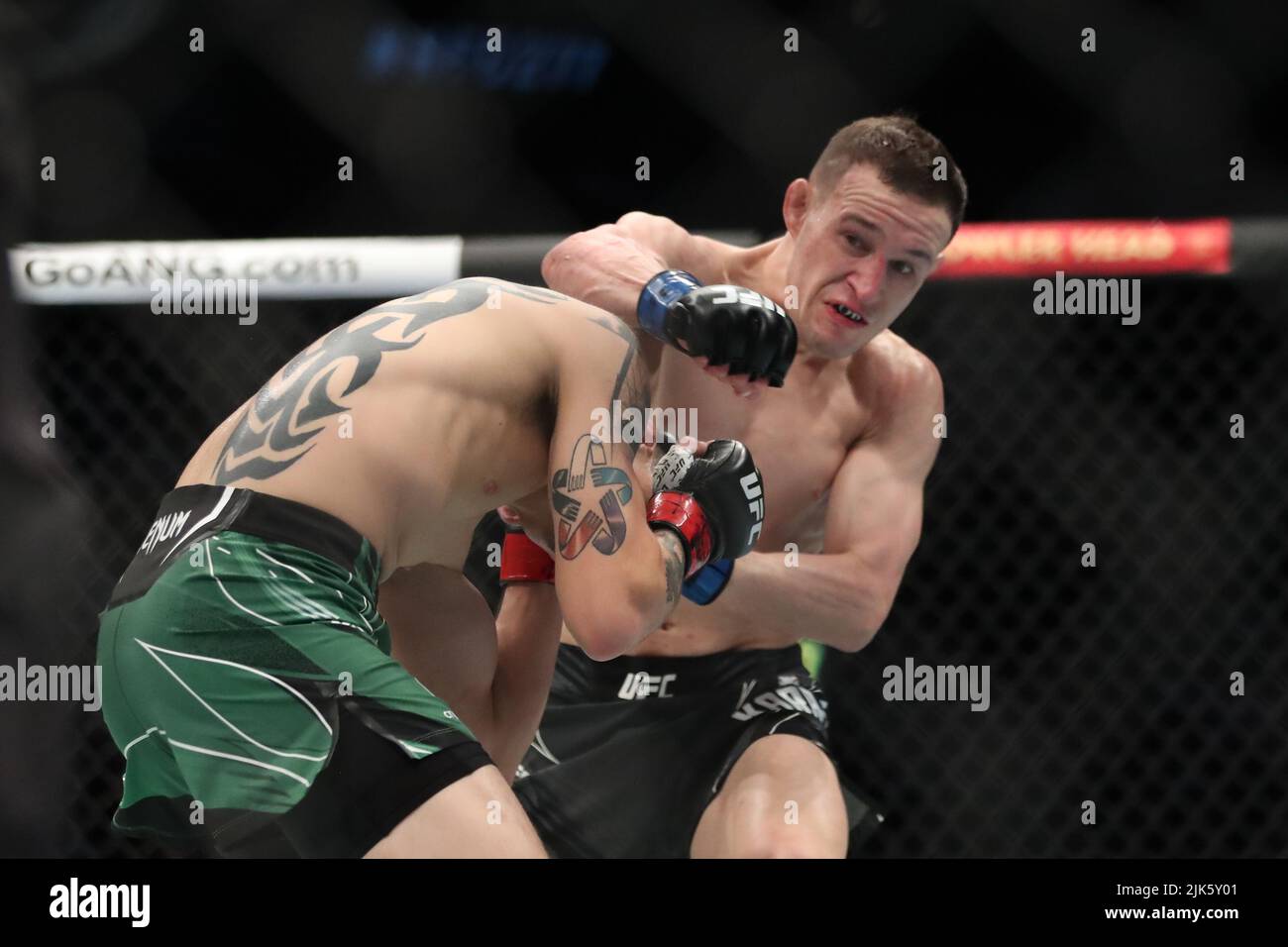 DALLAS, TX - 30. JULI: (R-L) Kai Kara-France schlägt Brandon Moreno bei ihrem Flyweight-Kampf während der UFC 277-Veranstaltung im American Airlines Center am 30. Juli 2022 in Dallas, Texas, USA. (Foto von Alejandro Salazar/PxImages) Credit: Px Images/Alamy Live News Stockfoto