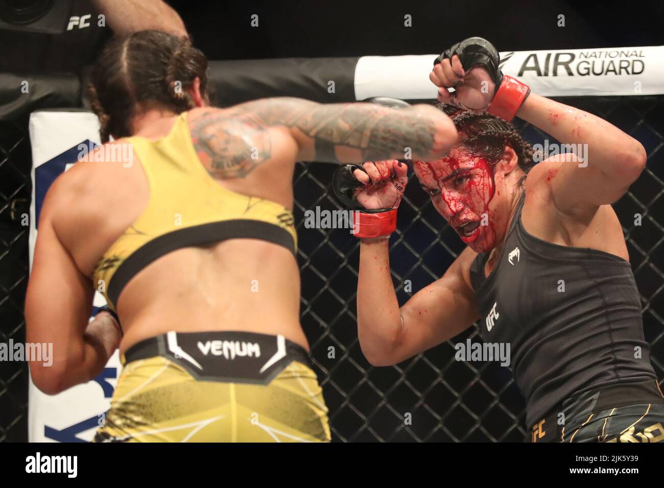 DALLAS, TX - 30. JULI: (L-R) Amanda Nunes schlägt Julianna Peña bei ihrem Women Bantamweight Kampf während der UFC 277 Veranstaltung im American Airlines Center am 30. Juli 2022 in Dallas, Texas, USA. (Foto von Alejandro Salazar/PxImages) Credit: Px Images/Alamy Live News Stockfoto