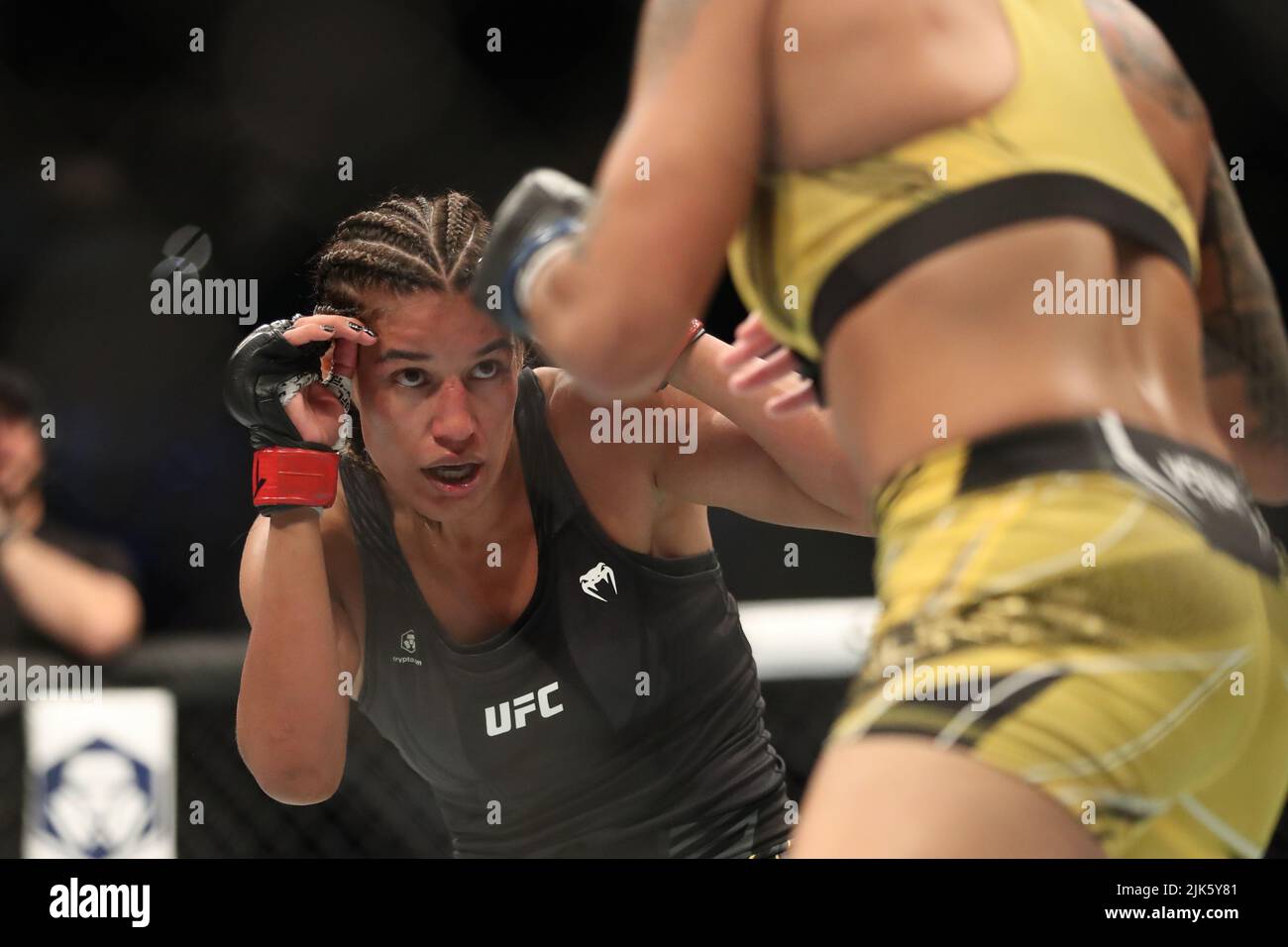 DALLAS, TX - 30. JULI: (L-R) Julianna Peña kämpft gegen Amanda Nunes in ihrem Women Bantamweight Kampf während der UFC 277 Veranstaltung im American Airlines Center am 30. Juli 2022 in Dallas, Texas, USA. (Foto von Alejandro Salazar/PxImages) Credit: Px Images/Alamy Live News Stockfoto