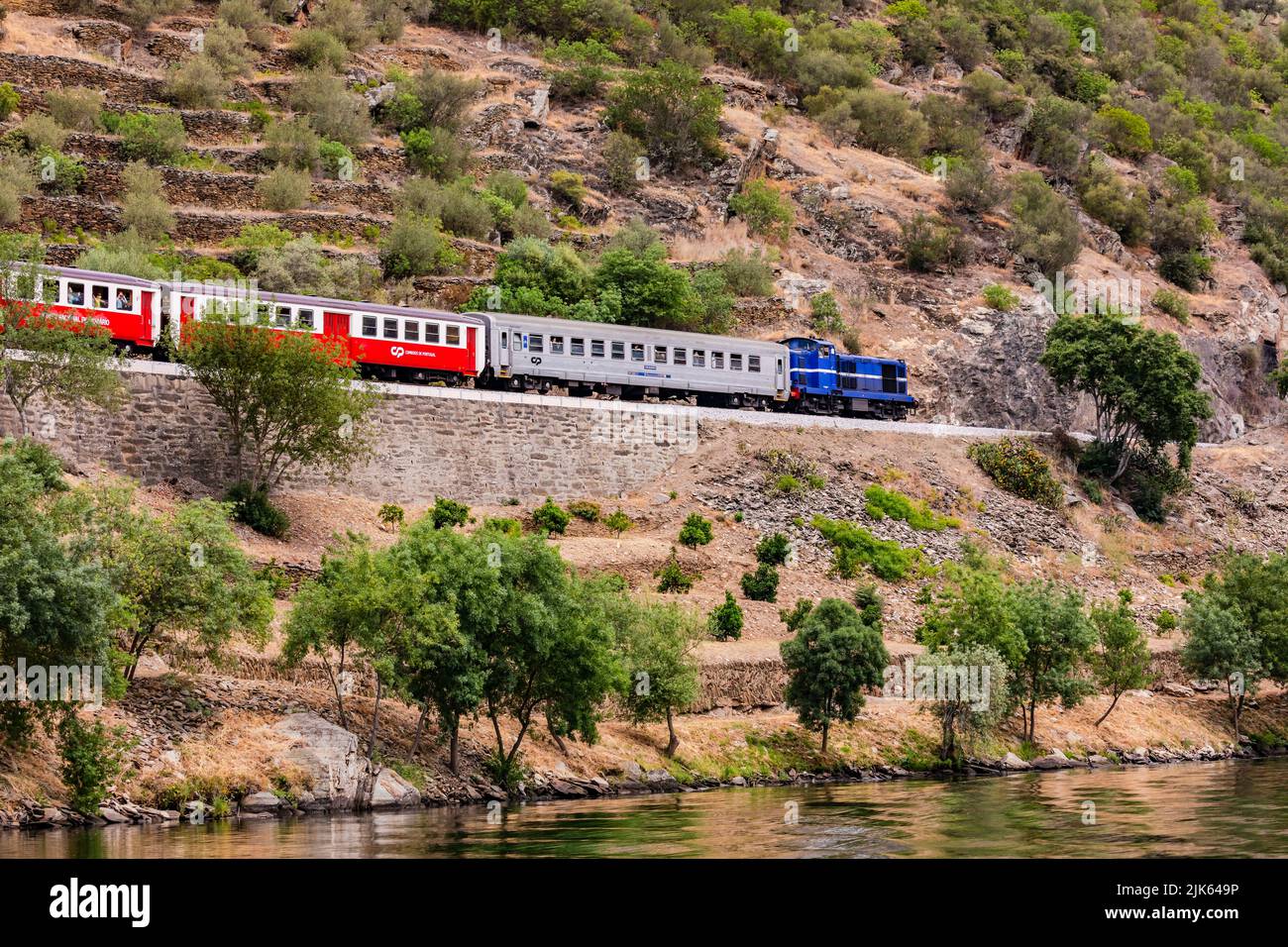 Ein Zug auf der Bahnlinie, der direkt parallel zum Douro-Fluss in der romantischen Weinregion Alto Douro, Portugal, verläuft Stockfoto