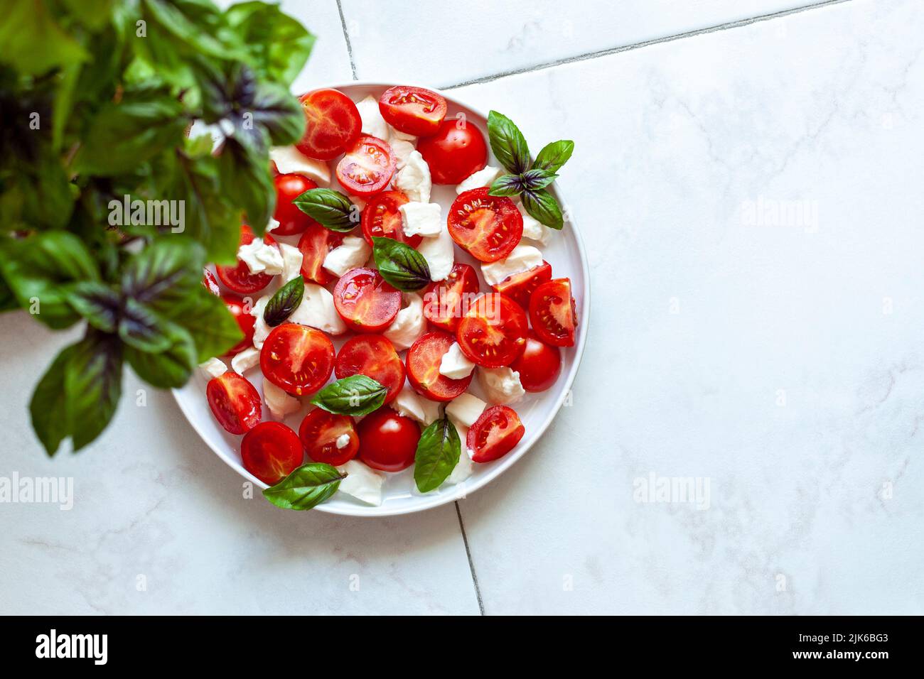 Caprese-Salat, serviert auf einem Teller unter einer Basilikumpflanze, Draufsicht Stockfoto