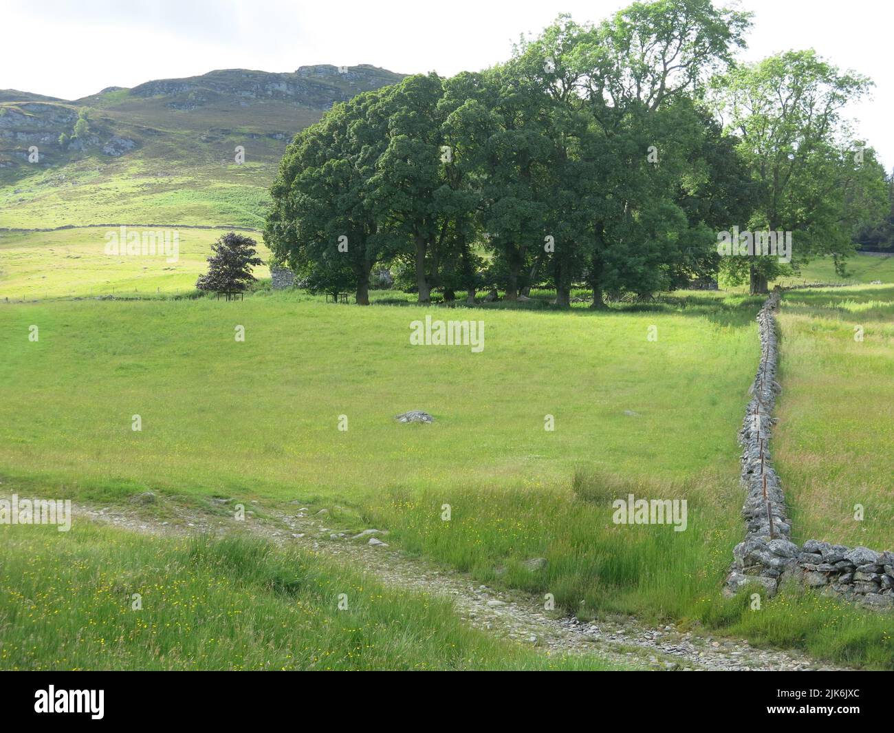 Die sanfte Highlands-Landschaft der Glens of Strathardle im Zentrum von Perthshire: Machen Sie einen Roadtrip entlang der A924 zwischen Blairgowrie und Pitlochry. Stockfoto