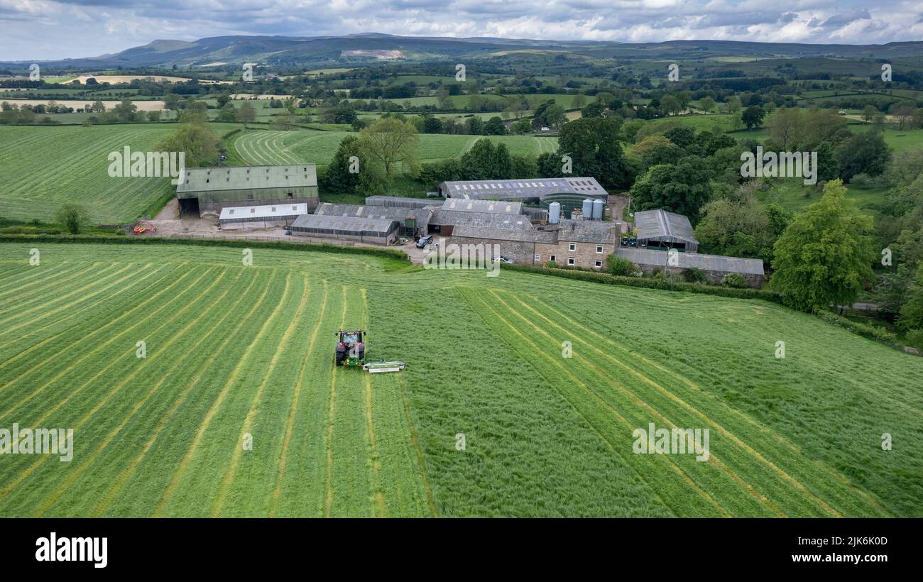 Mähen einer Grasernte auf einer Farm im Eden Valley in der Nähe von Kirkby Stephen, Cumbria. Drohnenansicht Stockfoto