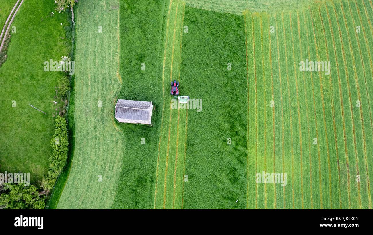 Mähen einer Grasernte auf einer Farm im Eden Valley in der Nähe von Kirkby Stephen, Cumbria. Drohnenansicht Stockfoto