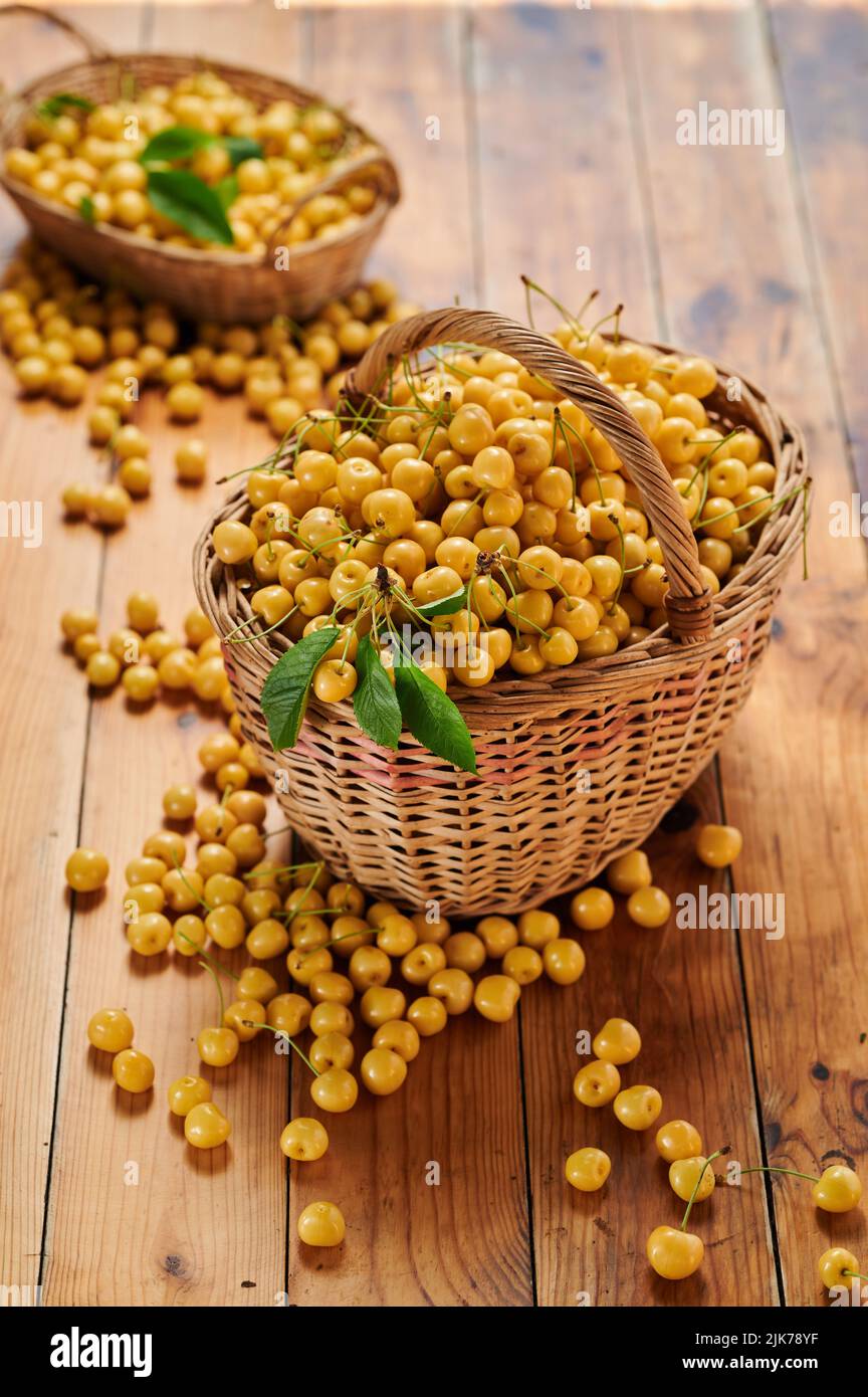 Gelbe Kirsche aus dem Garten in einem Korb, saisonale Ernte der Beeren auf dem Tisch Stockfoto