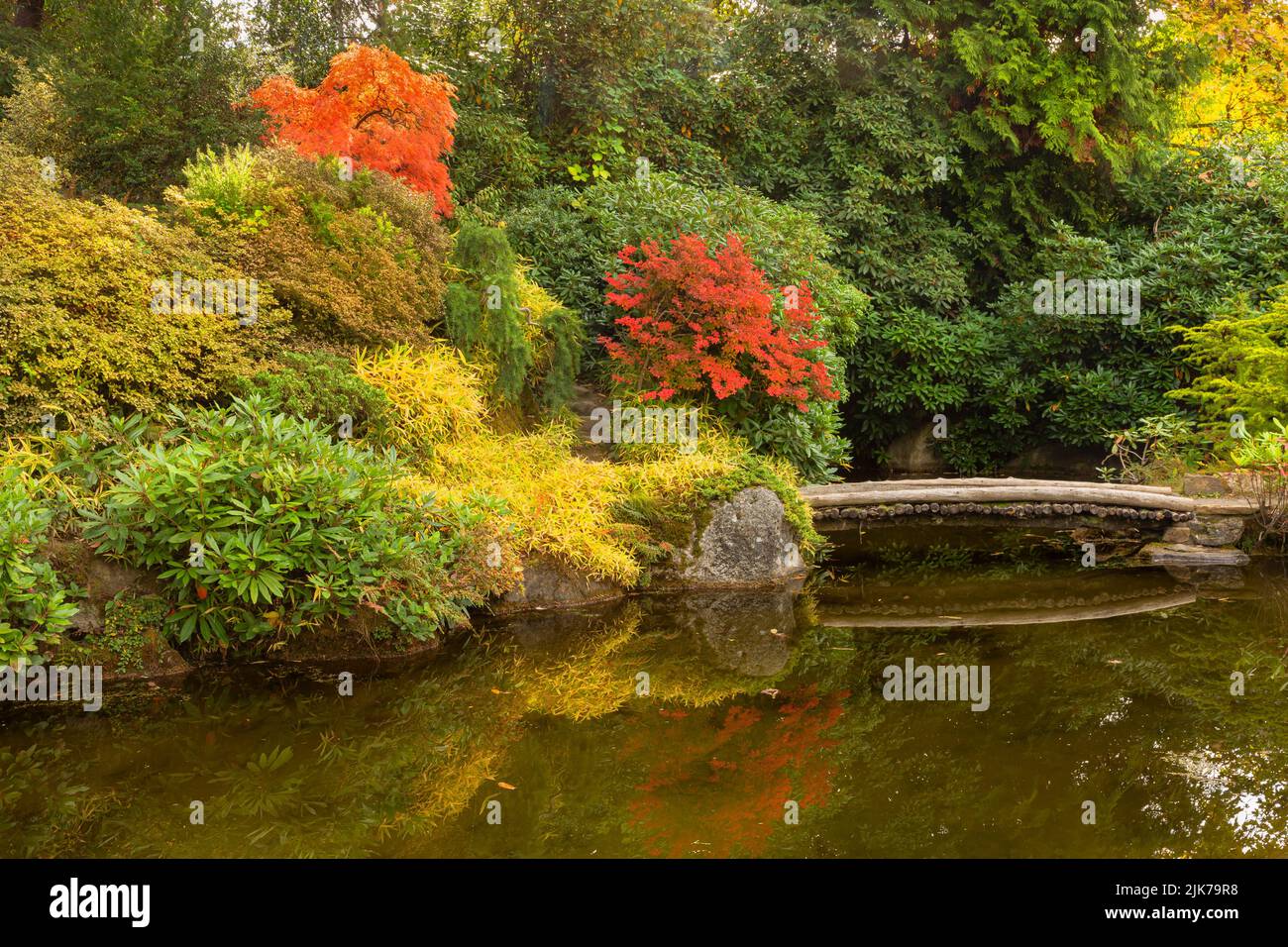 WA1840-00...WASHINGTON - traditioneller japanischer Garten, Teil des Kubota Garden Parks in Seattle. Stockfoto