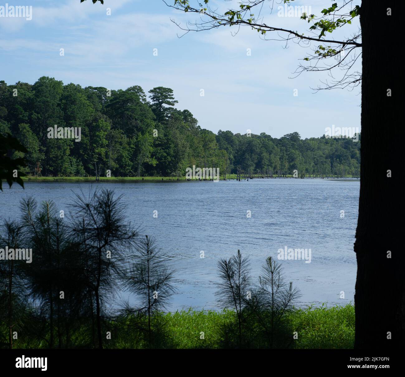 Blick durch die Bäume auf einen See. POV eingerahmt in nordamerikanischen Wäldern Stockfoto