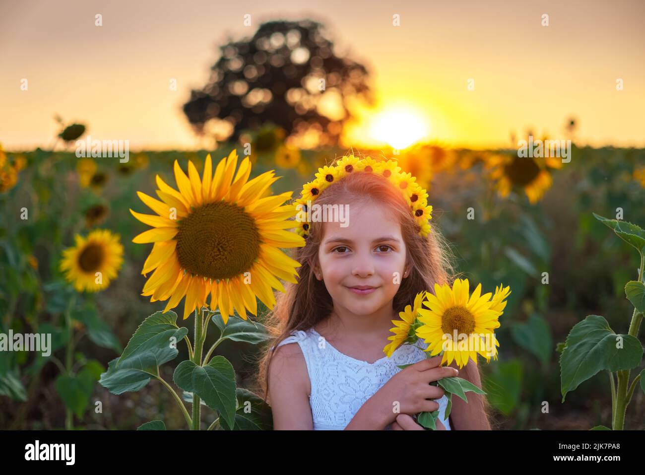 Mädchen und Sonnenblumen im Sonnenblumenfeld während des Sonnenuntergangs. Landwirtschaft, Landwirtschaft, Kindheit und sorgloses Konzept. Stockfoto