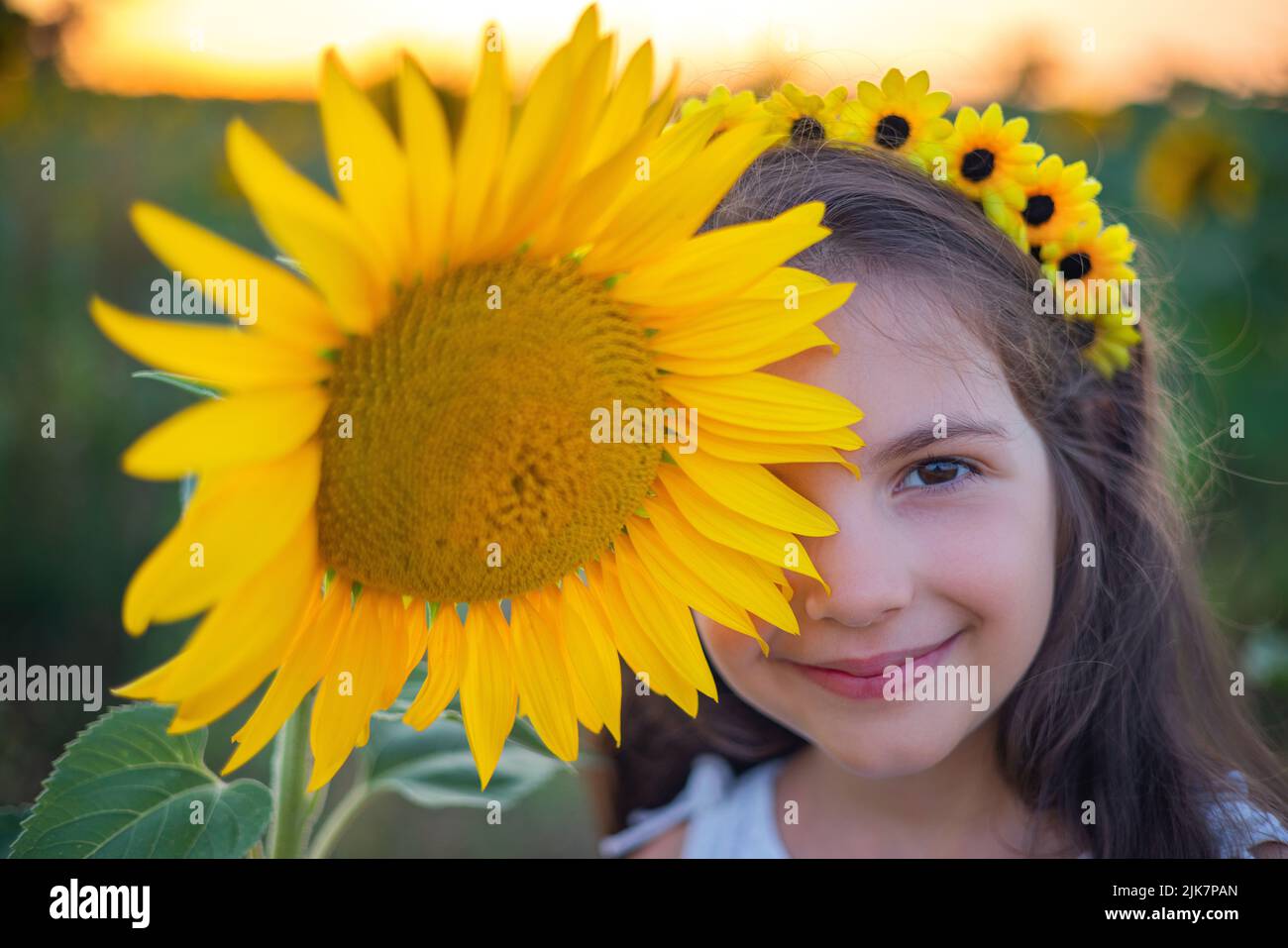 Mädchen und Sonnenblumen im Sonnenblumenfeld während des Sonnenuntergangs. Landwirtschaft, Landwirtschaft, Kindheit und sorgloses Konzept. Stockfoto