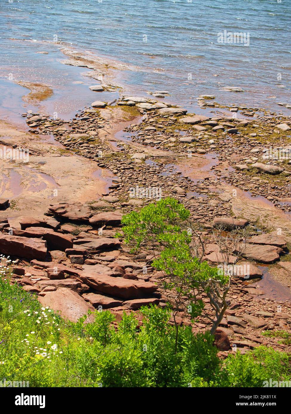 Cape Bear Red, Rocky Shore, PEI Stockfoto