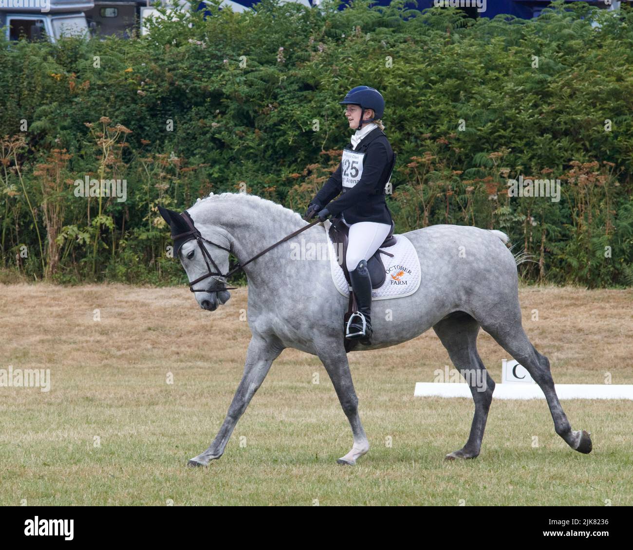 East Budleigh Salterton, Großbritannien, 31 Jul, 2022, Holly Carter reitet Lilly Potter in der Dressur-Sektion der Bicton Horse Trials bei Bicton Horse Trials. Kredit: Will Tudor/Alamy Live Nachrichten Stockfoto