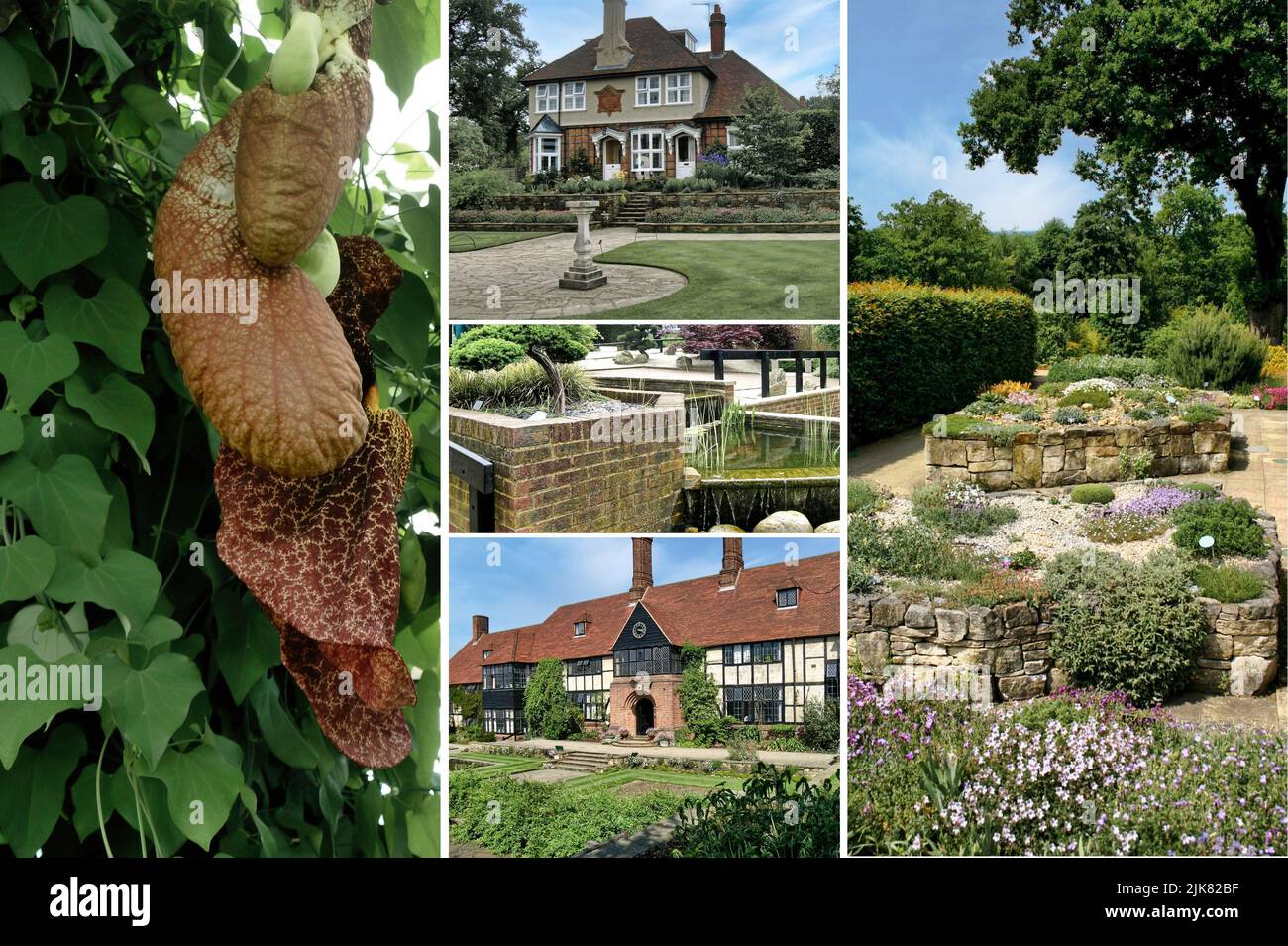 Der RHS-Garten in Wisley ist einer von fünf Gärten, die von der Society betrieben werden, und der am zweithäufigsten besuchte kostenpflichtige Garten in Großbritannien (1) Stockfoto