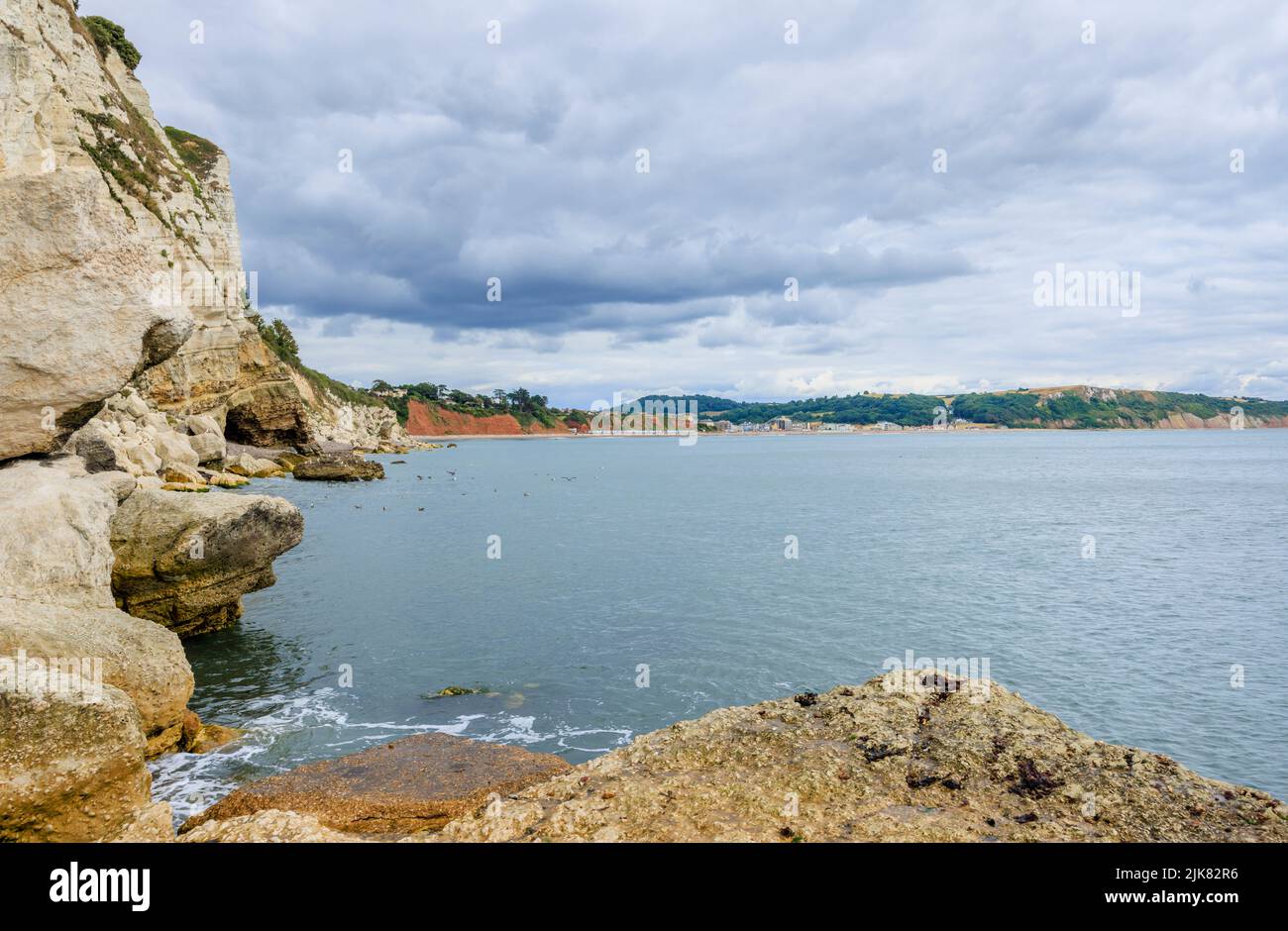 Von Beer, einem kleinen Küstendorf an der Lyme Bay in der Jurassic Coast of East Dorset, Südwesten Englands, blicken Klippen und Küstenlinien nach Westen in Richtung Seaton Stockfoto