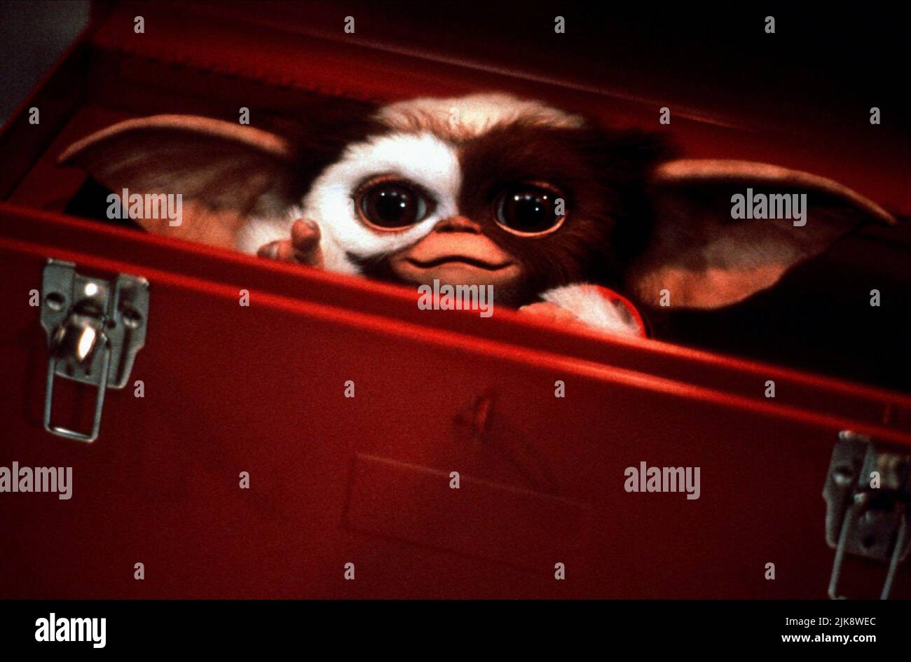Gizmo Film Gremlins 2: The New Batch (USA 1990) Regie: Joe Dante 15. Juni 1990 **WARNUNG** dieses Foto ist nur für redaktionelle Zwecke bestimmt und ist urheberrechtlich geschützt von WARNER BROS. Und/oder dem von der Film- oder Produktionsgesellschaft beauftragten Fotografen und dürfen nur durch Veröffentlichungen in Verbindung mit der Werbung für den oben genannten Film reproduziert werden. Eine obligatorische Gutschrift an WARNER BROS. Ist erforderlich. Der Fotograf sollte ebenfalls angerechnet werden, wenn er bekannt ist. Ohne schriftliche Genehmigung der Film Company kann keine kommerzielle Nutzung gewährt werden. Stockfoto