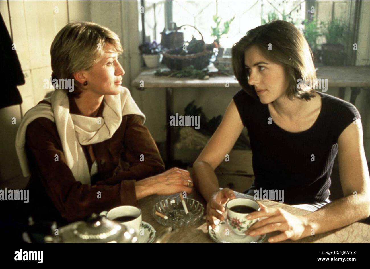 Paula Hamilton & Elizabeth Hurley Film: Mad Dogs And Englishmen (1995) Charaktere: Charlie, Antonia Dyer Regie: Henry Cole 02 June 1995 **WARNUNG** Dieses Foto ist nur für redaktionelle Zwecke bestimmt und unterliegt dem Copyright der COLUMBIA PICTURES CORPORATION und/oder des Fotografen, der von der Film- oder Produktionsfirma beauftragt wurde und darf nur von Publikationen im Zusammenhang mit der Bewerbung des oben genannten Films reproduziert werden. Eine obligatorische Gutschrift an DIE COLUMBIA PICTURES CORPORATION ist erforderlich. Der Fotograf sollte auch bei Bekanntwerden des Fotos gutgeschrieben werden. Ohne schriftliche Genehmigung des F kann keine kommerzielle Nutzung gewährt werden Stockfoto