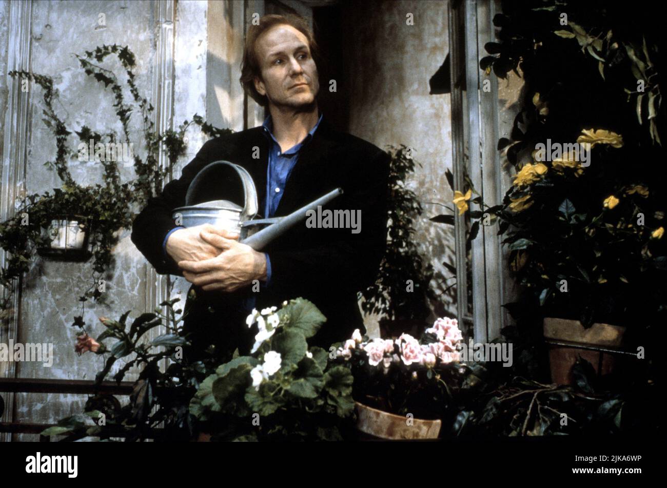 Un divan a new york Fotos und Bildmaterial in hoher Auflösung Alamy