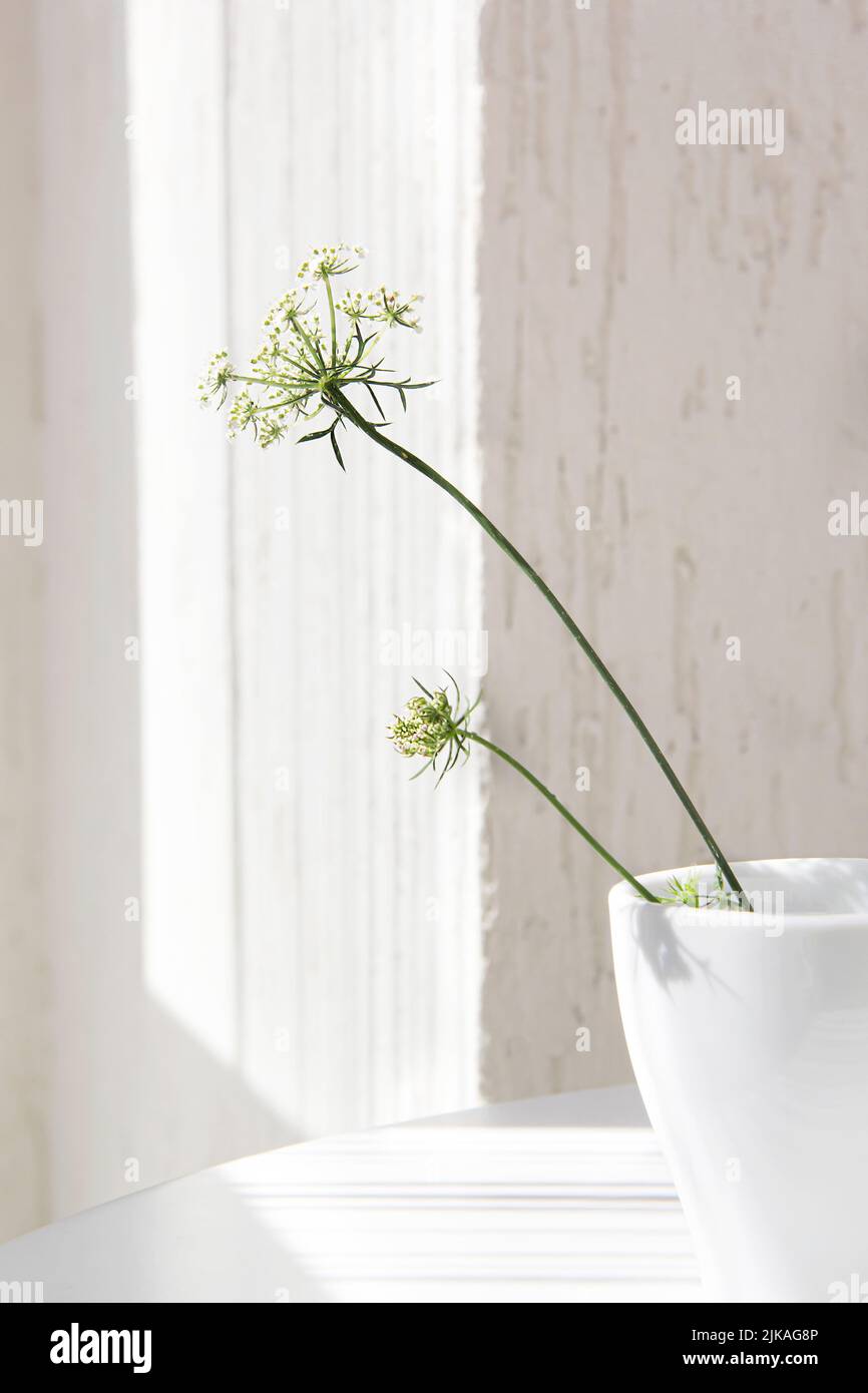 Weiße Keramikvase mit anmutiger Blume Stockfoto