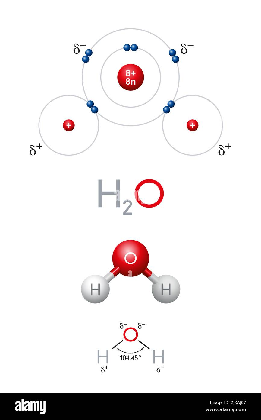 H2O, Wassermolekül, Planetenmodell, chemische und strukturelle Formel. Polare kovalente Bindungen zwischen Sauerstoff- und Wasserstoffatomen, mit partiellen Ladungen. Stockfoto