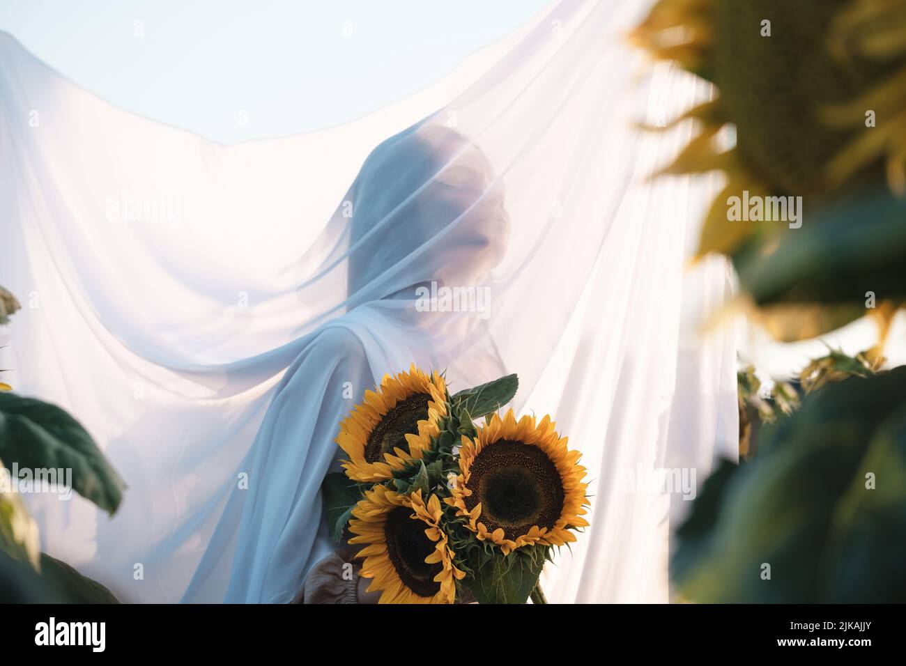 Unbekannte Frau mit Sonnenblumenstrauß mit weißem Stoff im Freien bedeckt. Natürliche Schönheit. Ländlicher Sommerurlaub, Reinheit und Naturkonzept. Speicherplatz kopieren Stockfoto