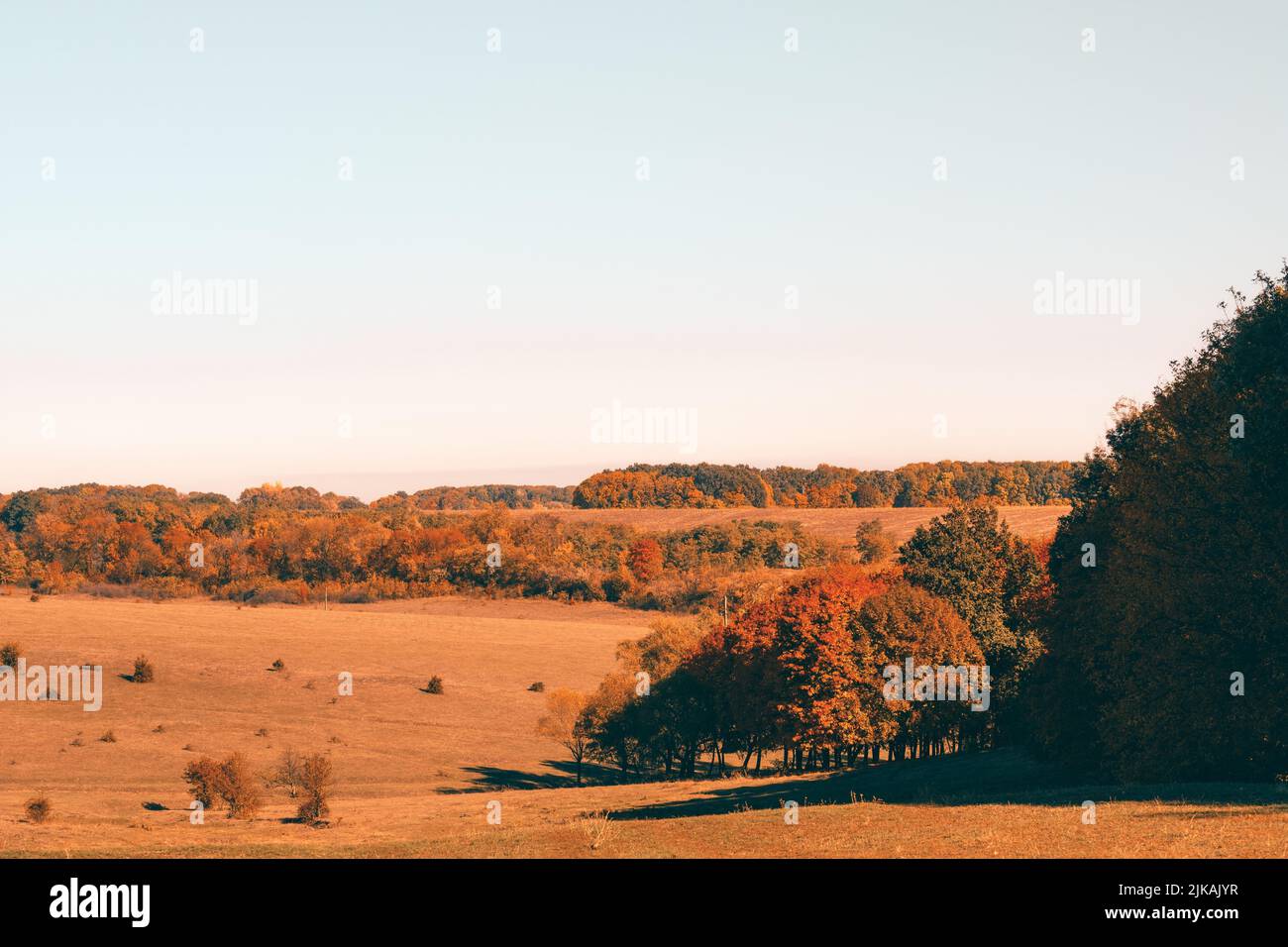 Wiese Sonnenuntergang Natur Landschaft rotes Gras Bäume Himmel Stockfoto