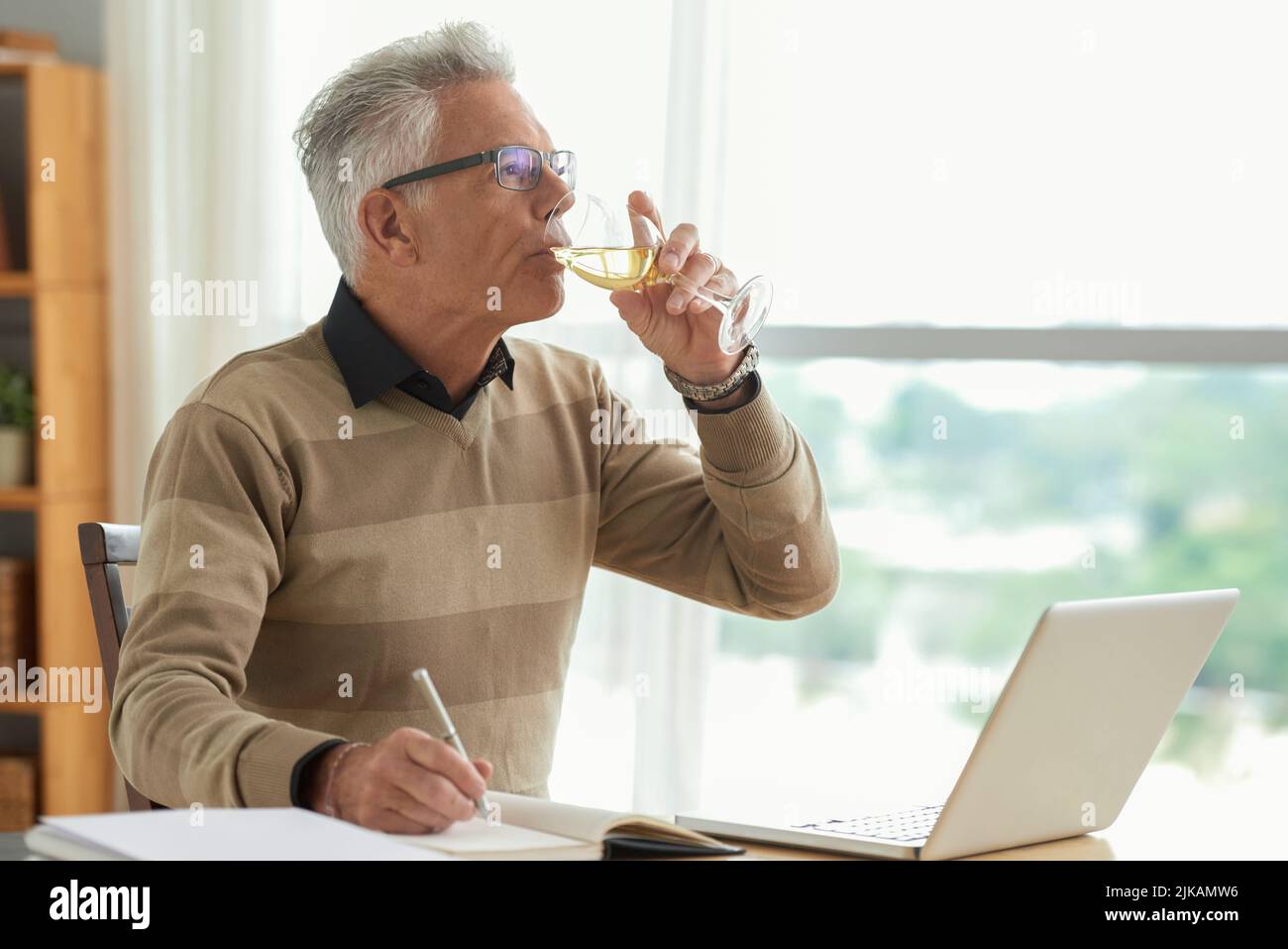 Professioneller Schriftsteller, der bei der Arbeit an einem neuen Roman Wein trinkt Stockfoto