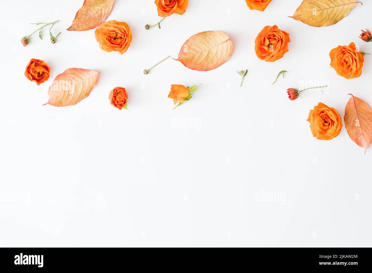 Herbst Blumen abstrakten Hintergrund Rose Knospen Stockfoto