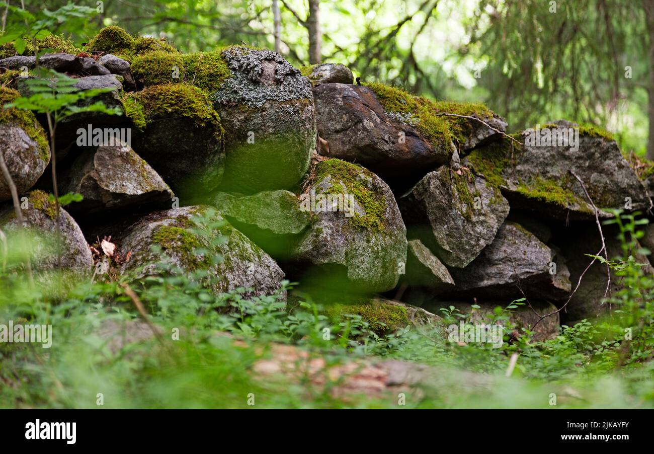 Die Steinmauer im Wald prägte in der Vergangenheit landwirtschaftliche Flächen Stockfoto