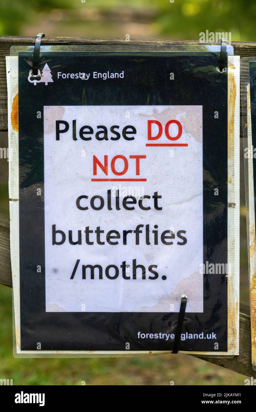 Forestry England Zeichen oder Hinweis, Bitte sammeln Sie keine Schmetterlinge oder Motten, bei Alice holt Forest in Hampshire, England, Großbritannien Stockfoto