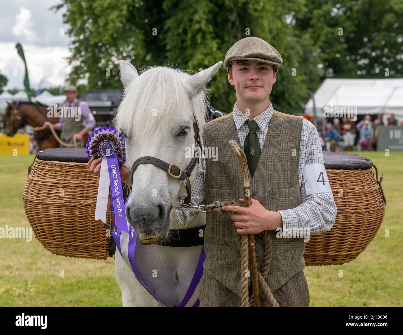 GWCT Scottish Game Fair 2022 im Scone Palace, Perthshire. Die Fred Taylor Memorial Hill Pony Competition Stockfoto