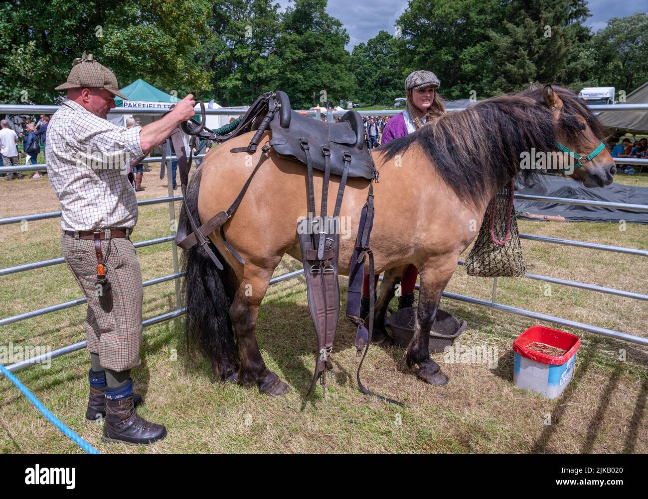 GWCT Scottish Game Fair 2022 im Scone Palace, Perthshire. Die Fred Taylor Memorial Hill Pony Competition Stockfoto